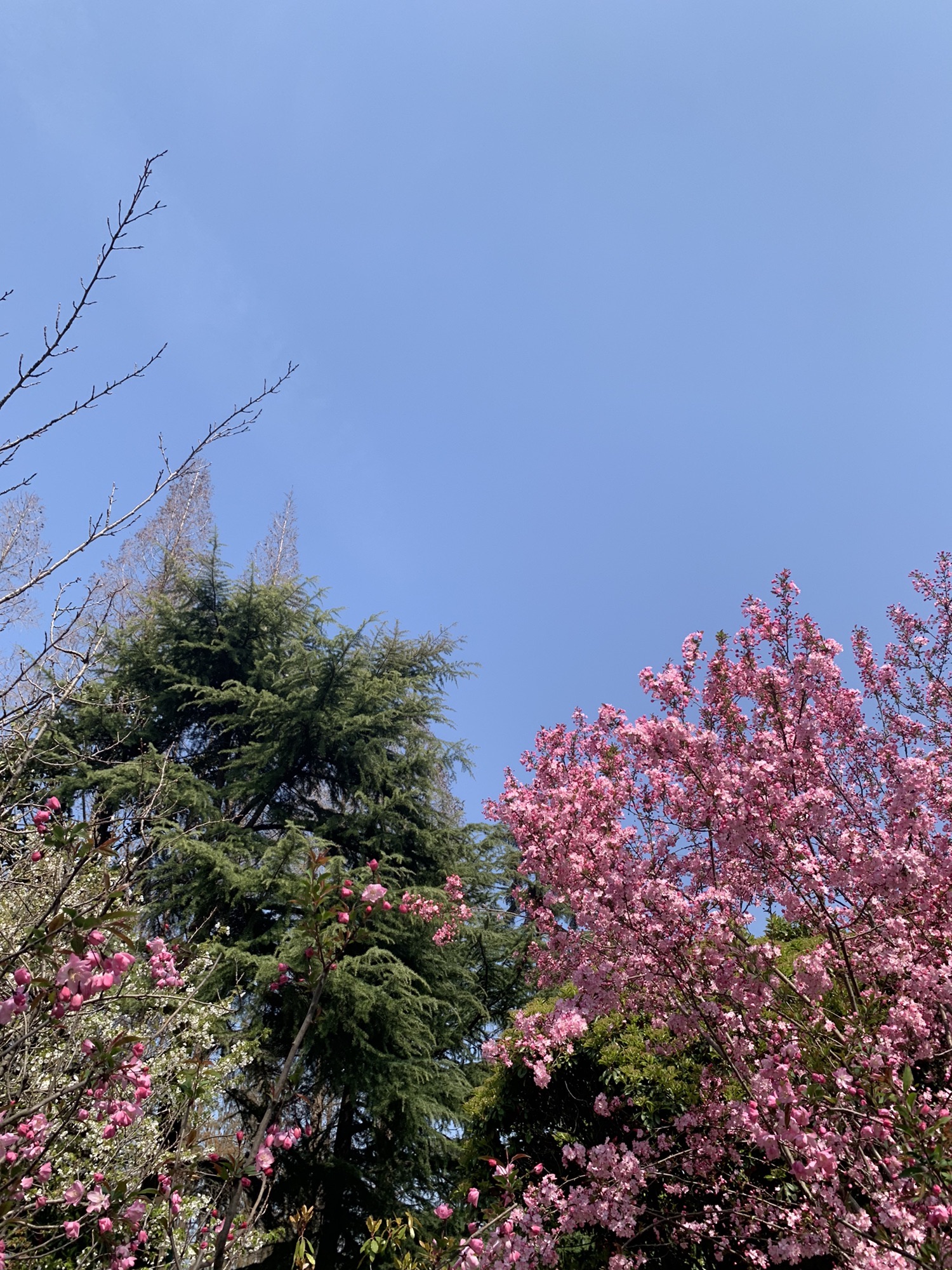 清晏园旅行图片 1