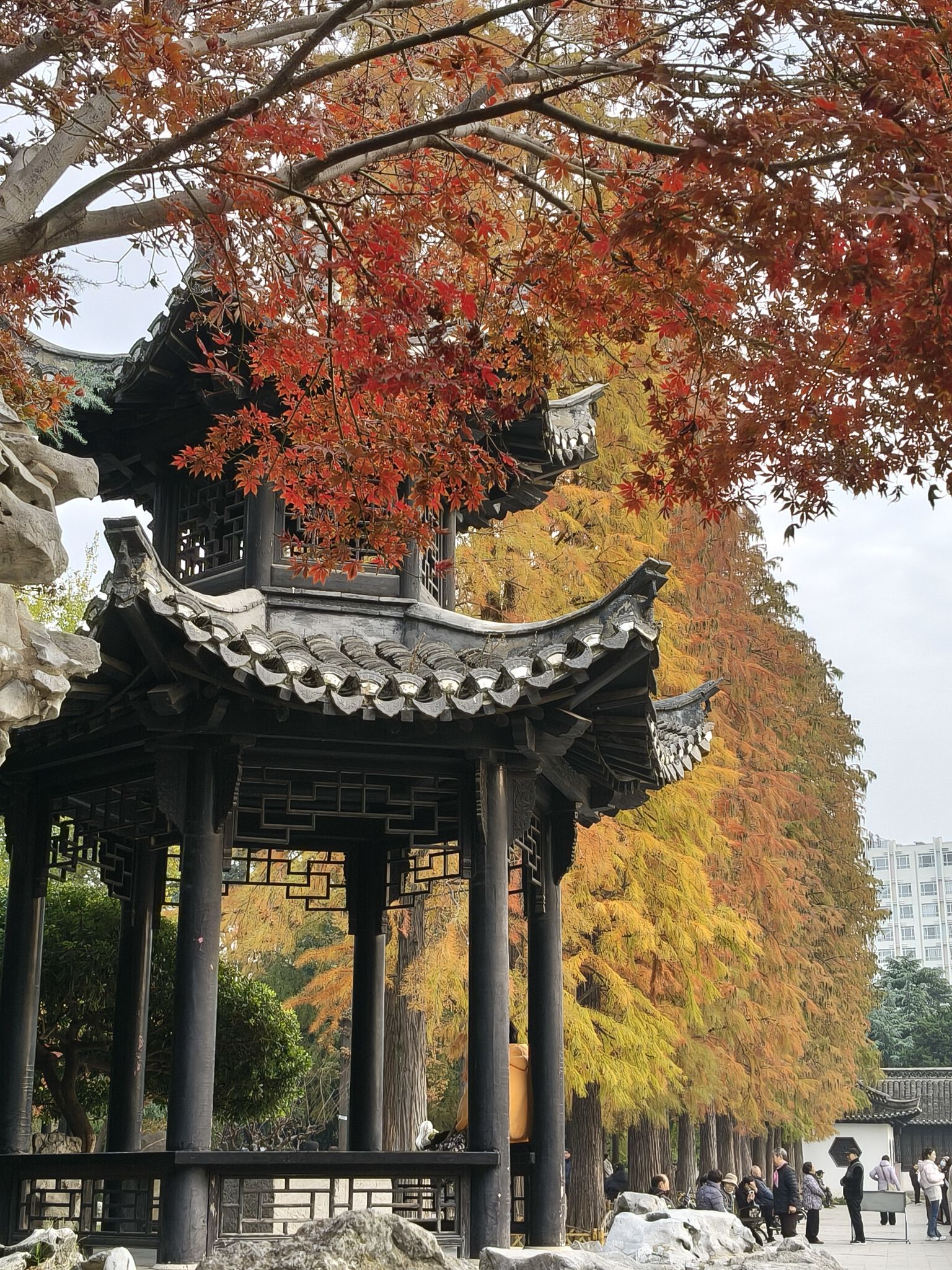 清晏园旅行图片 1