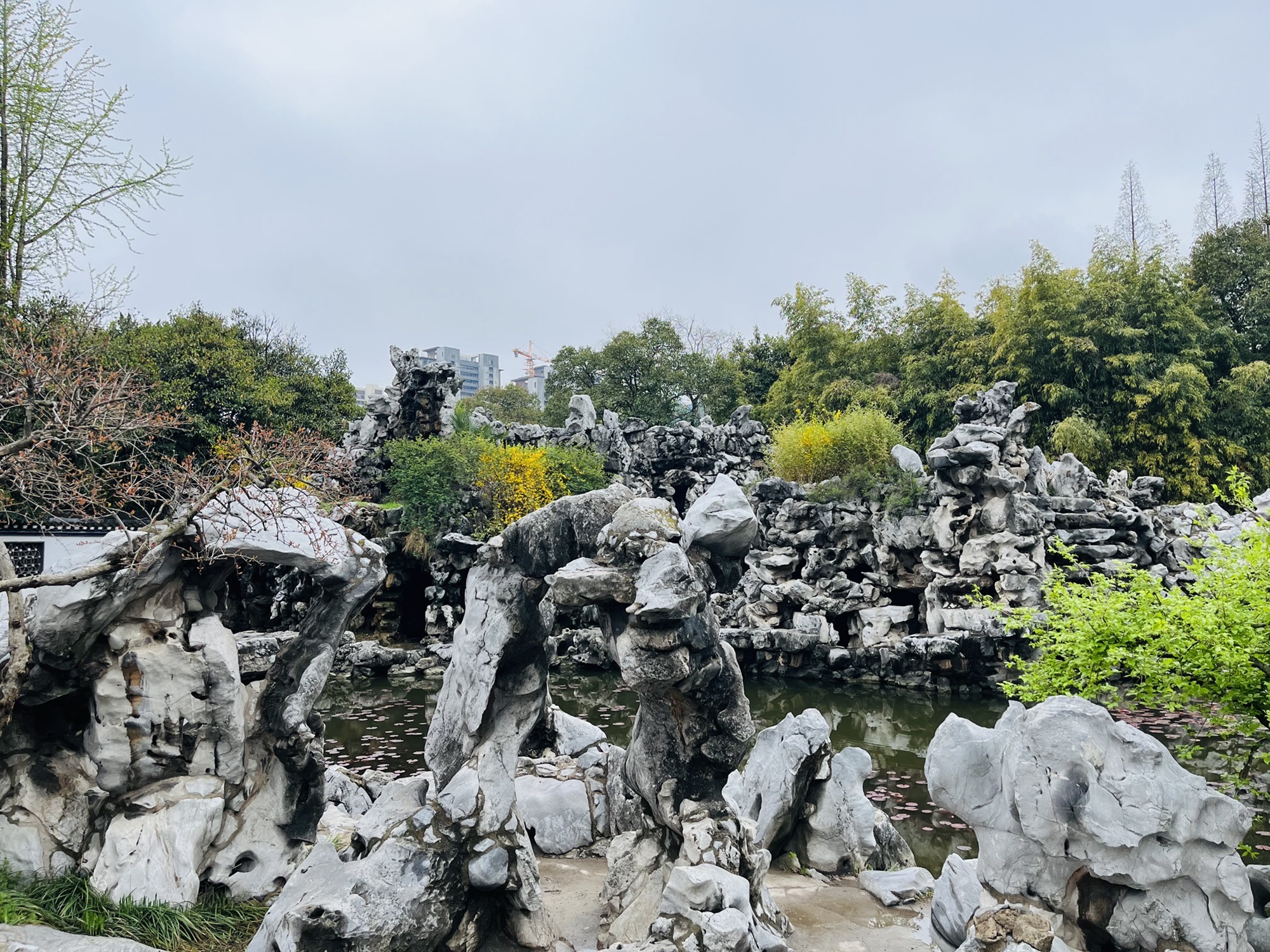 清晏园旅行图片 2