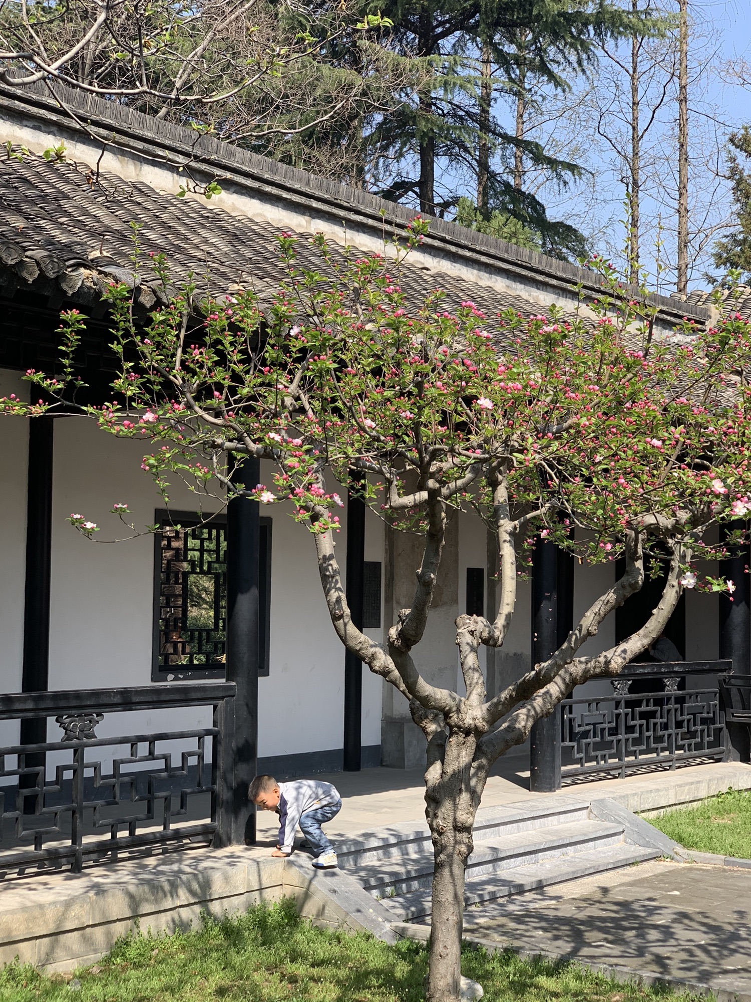 清晏园旅行图片 3