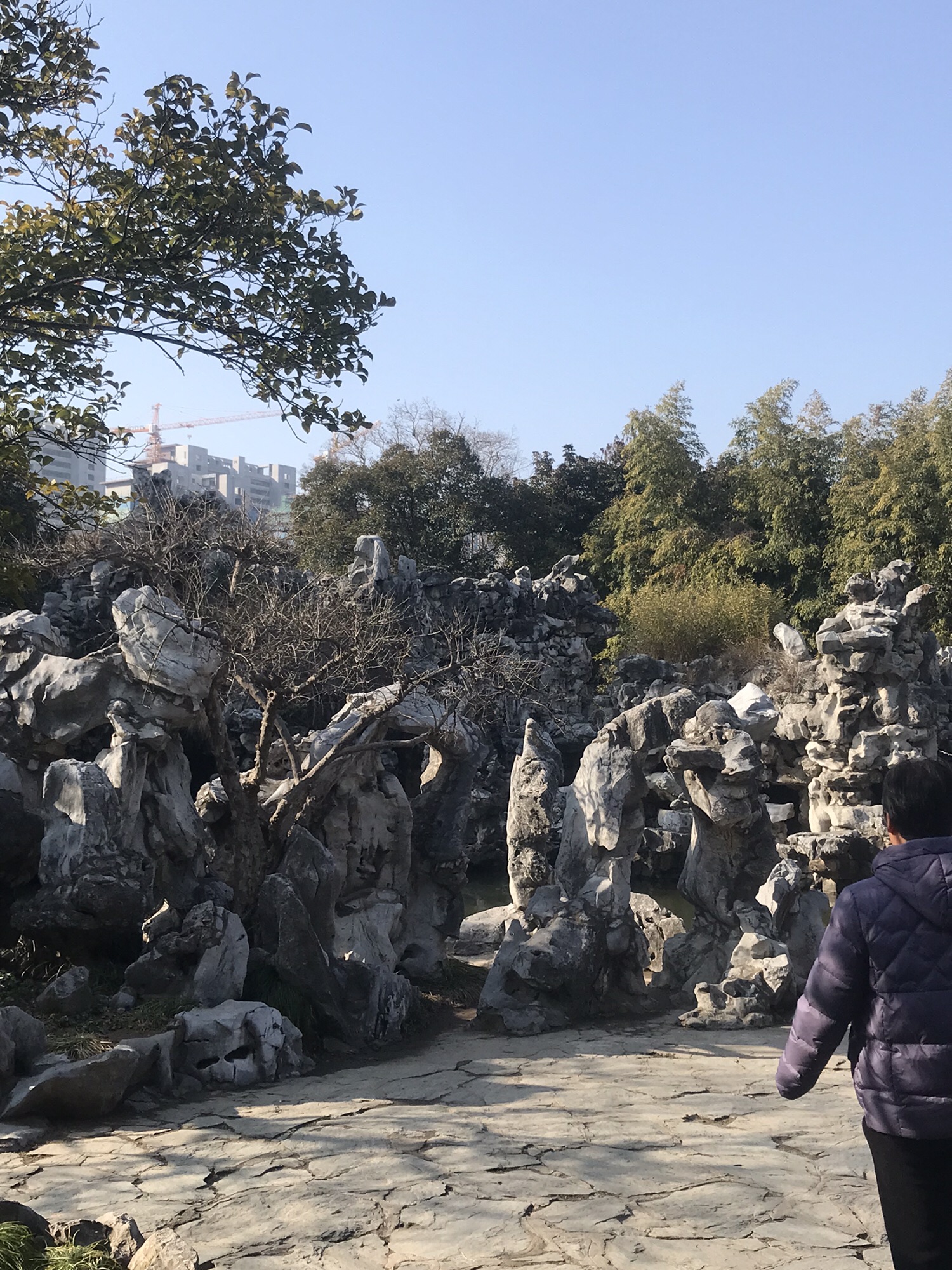 清晏园旅行图片 3