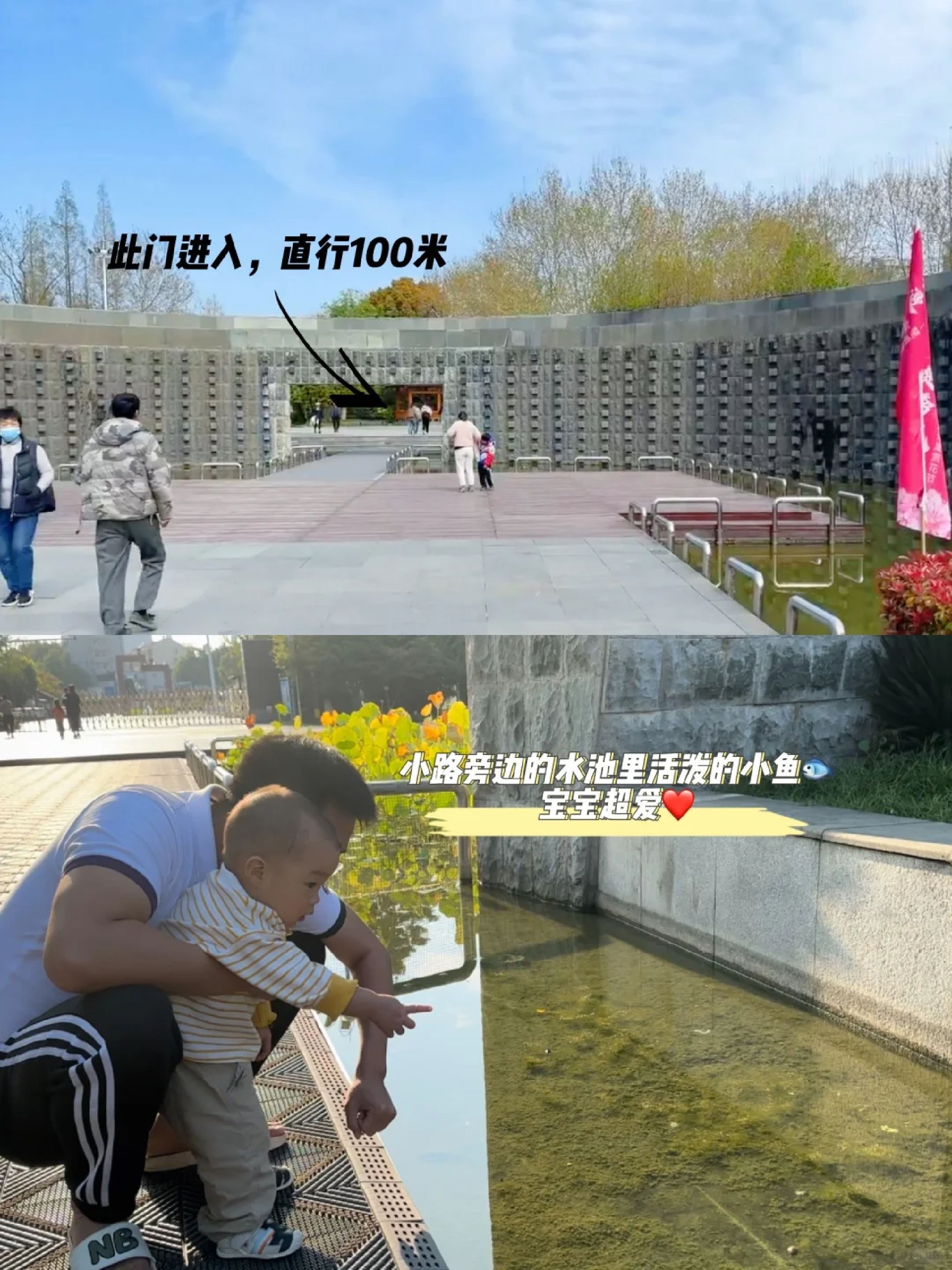 楚秀园旅行图片 1