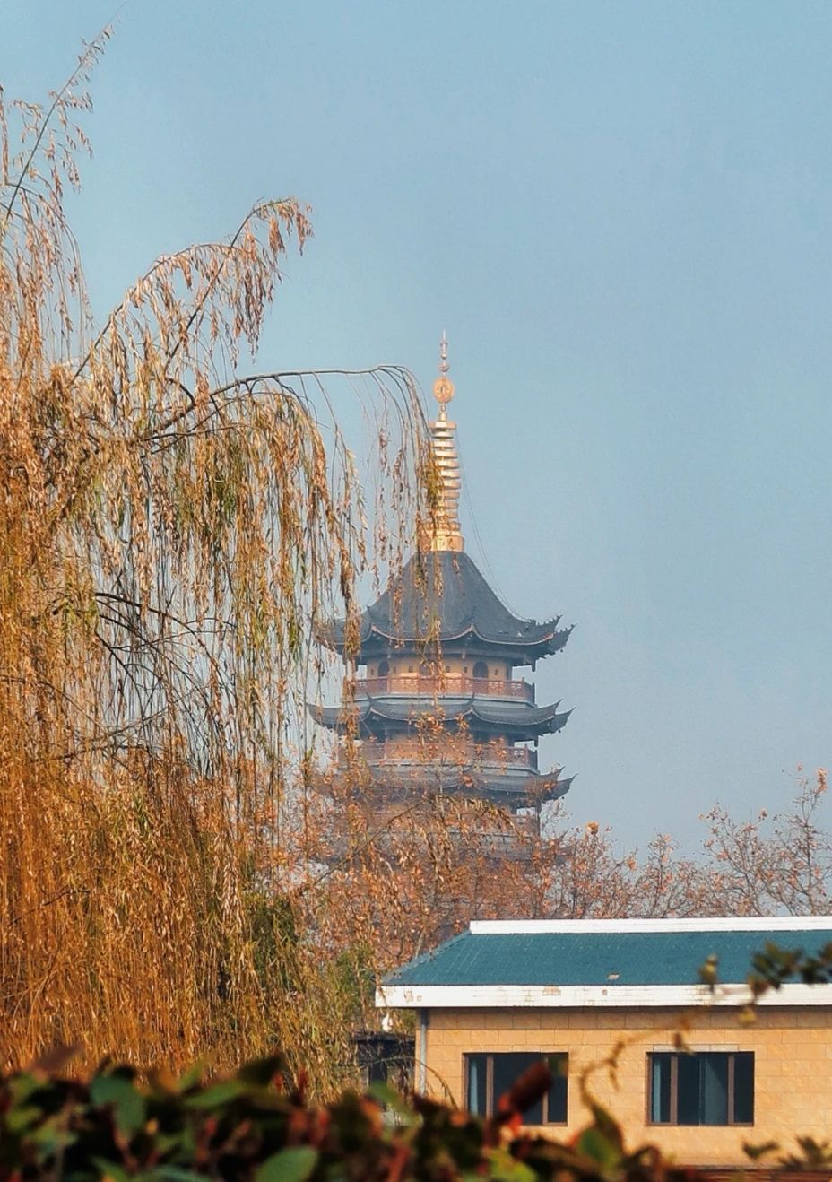 楚秀园旅行图片 1