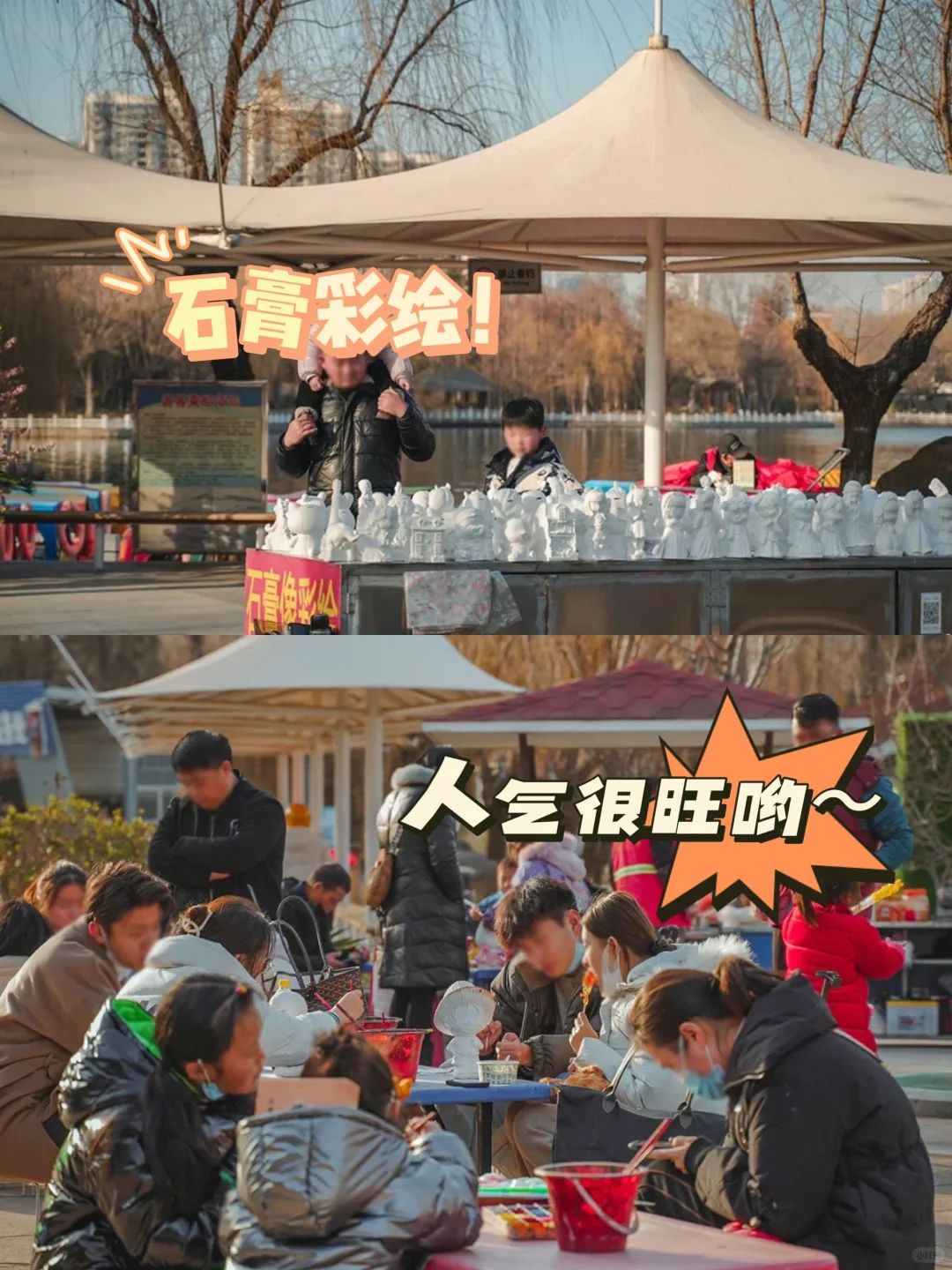 楚秀园旅行图片 3
