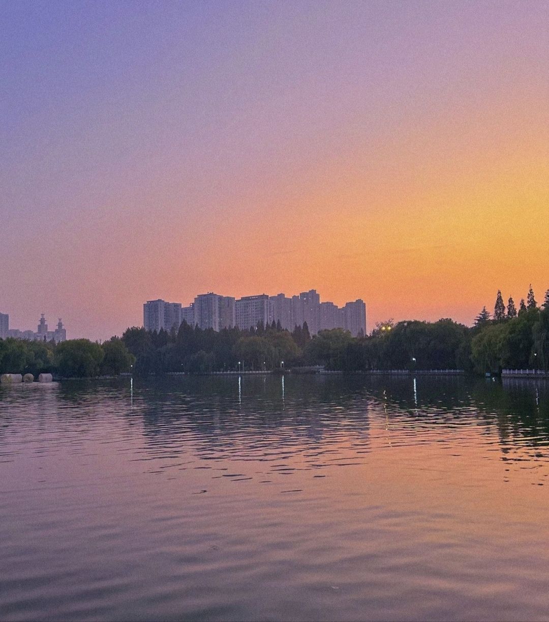 楚秀园旅行图片 1