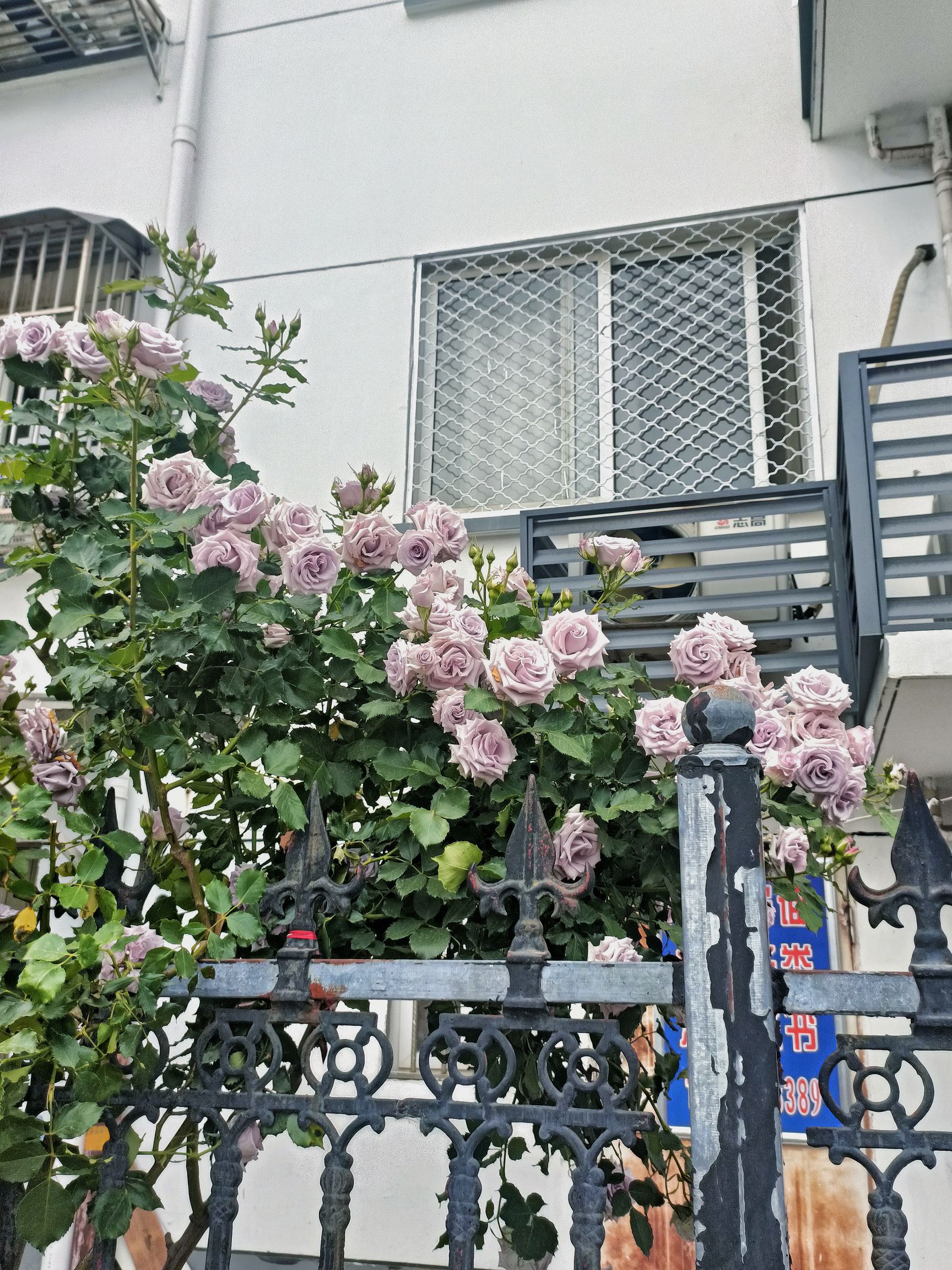 漕运广场旅行图片 1