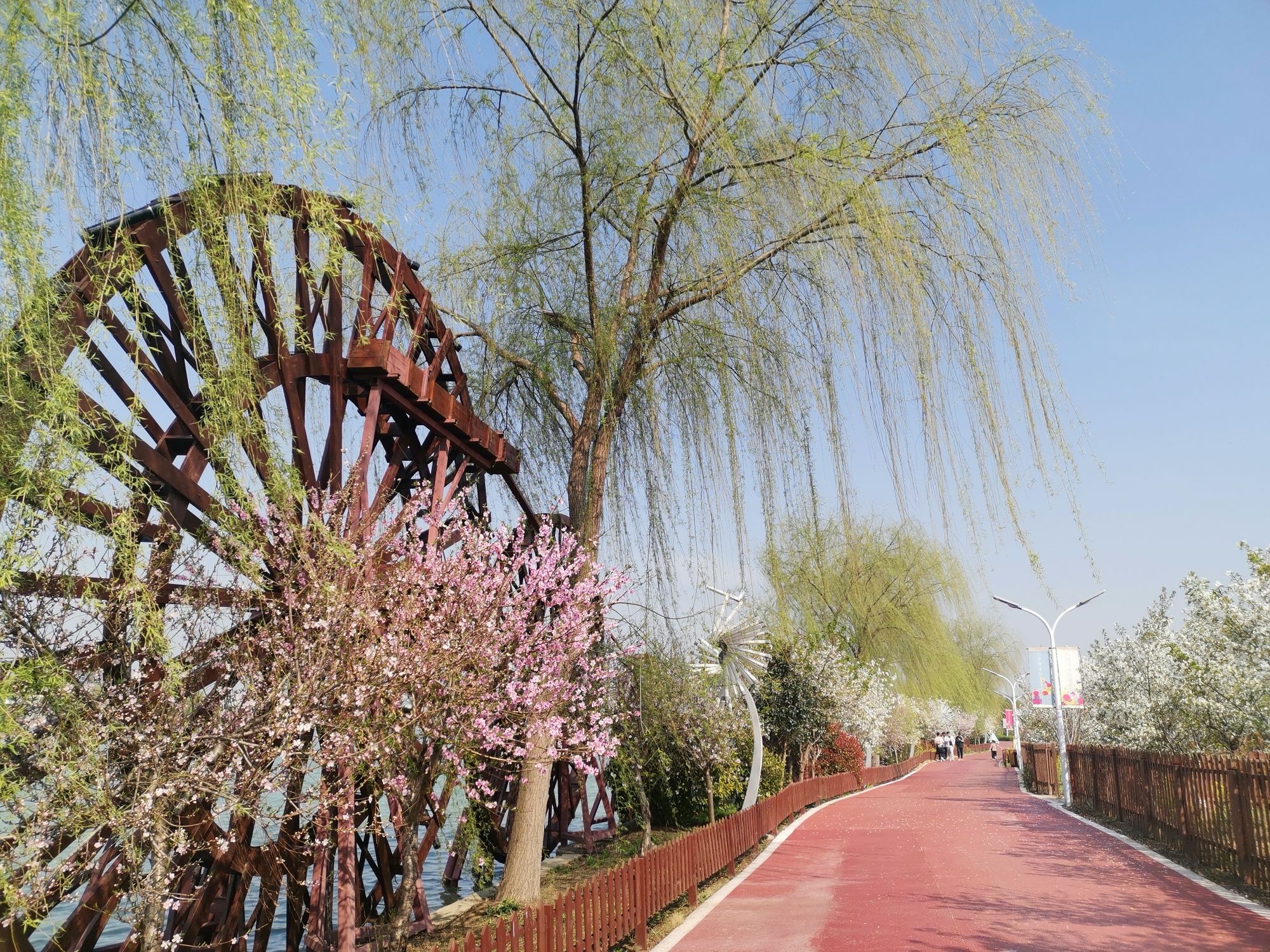 天鹅湖生态园旅行图片 3