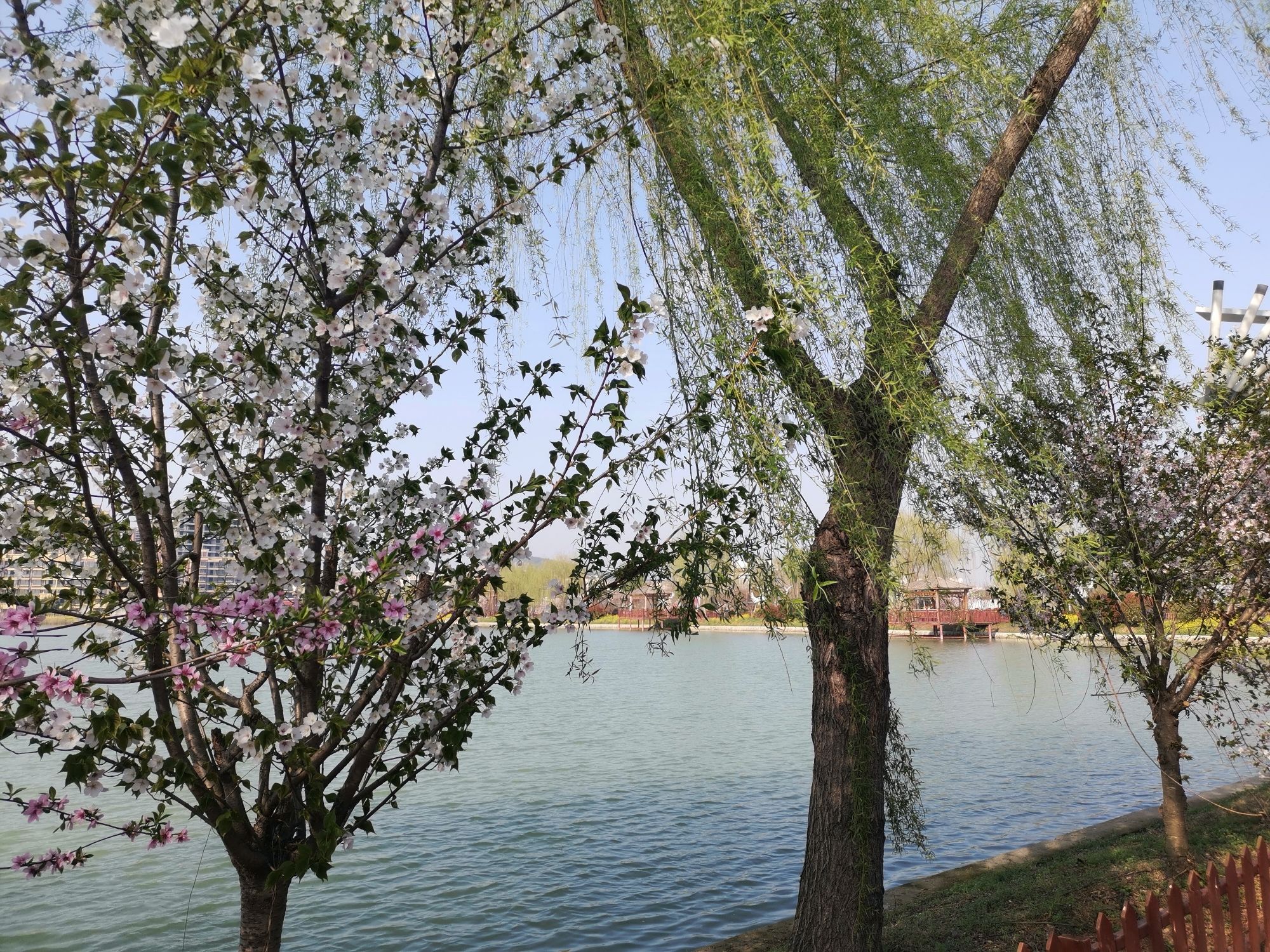 天鹅湖生态园旅行图片 2