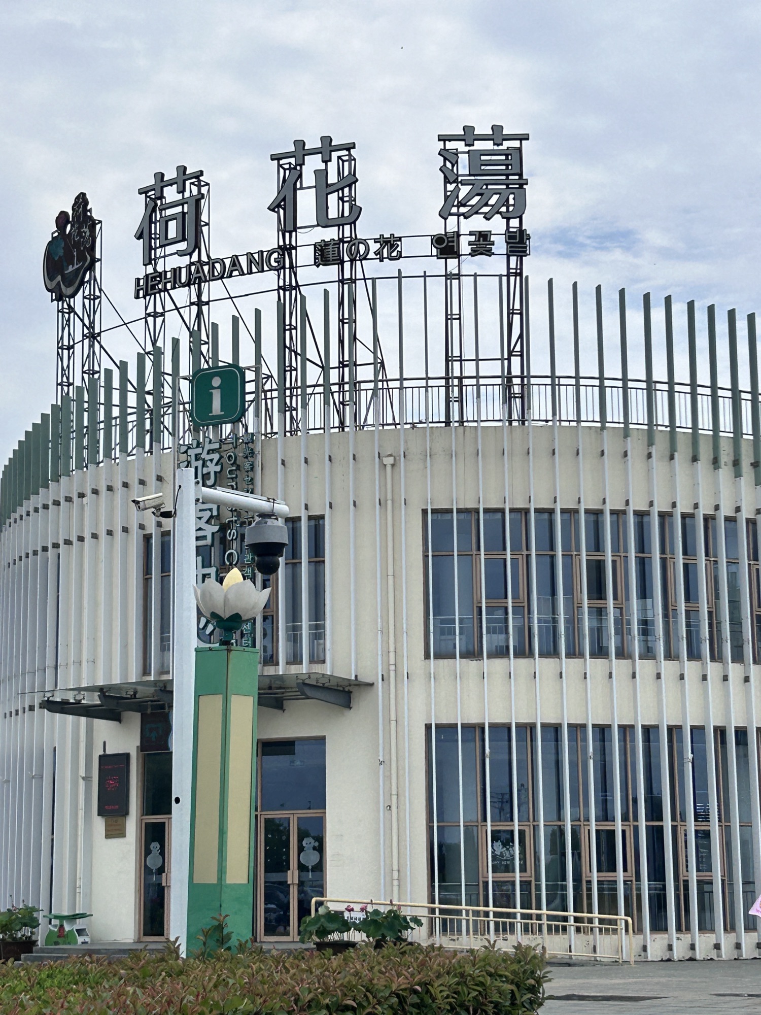淮安市金湖县荷花荡景区(暂停营业)旅行图片 1