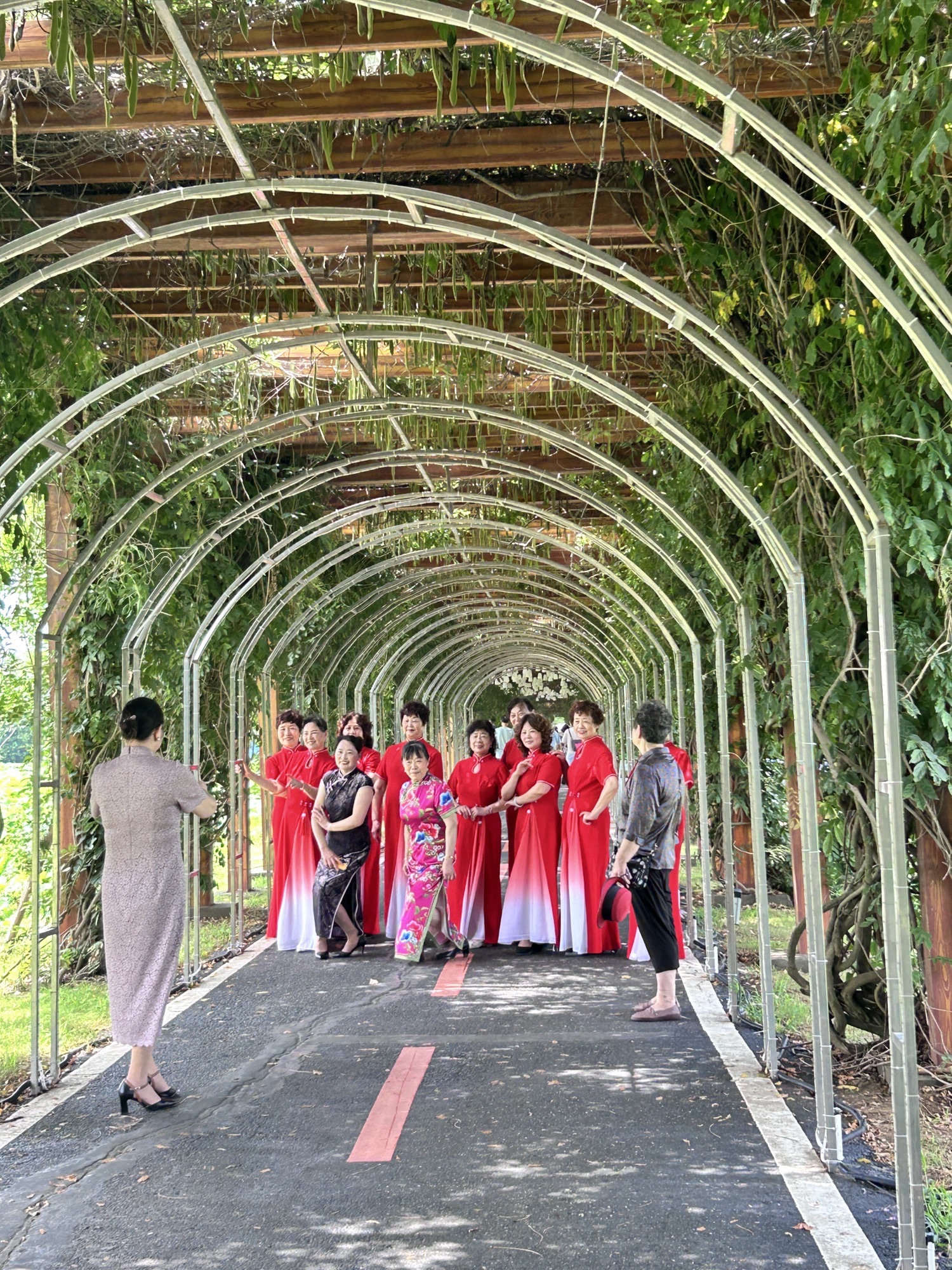 淮安市金湖县荷花荡景区(暂停营业)旅行图片 2