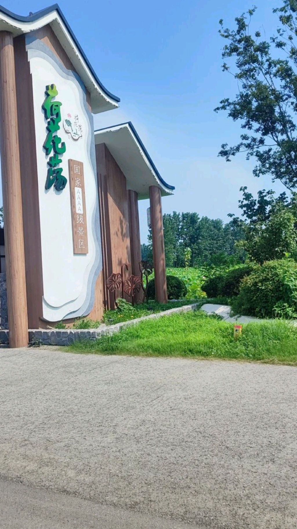 淮安市金湖县荷花荡景区(暂停营业)旅行图片 1