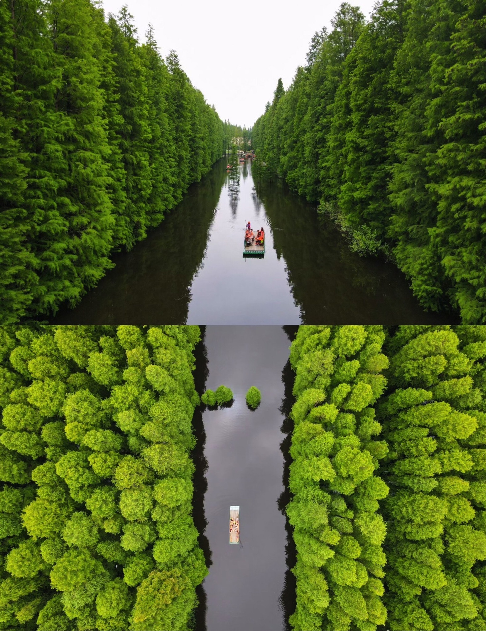 淮安市金湖县荷花荡景区(暂停营业)旅行图片 1