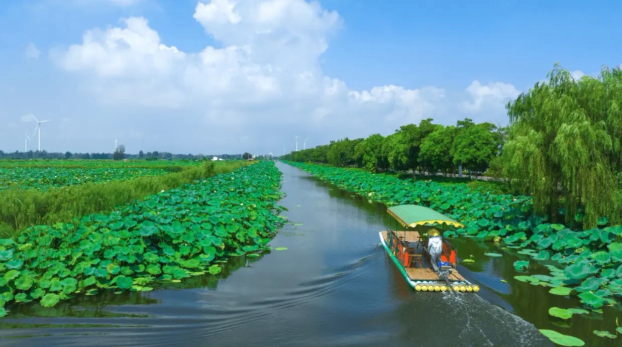淮安市金湖县荷花荡景区(暂停营业)旅行图片 1