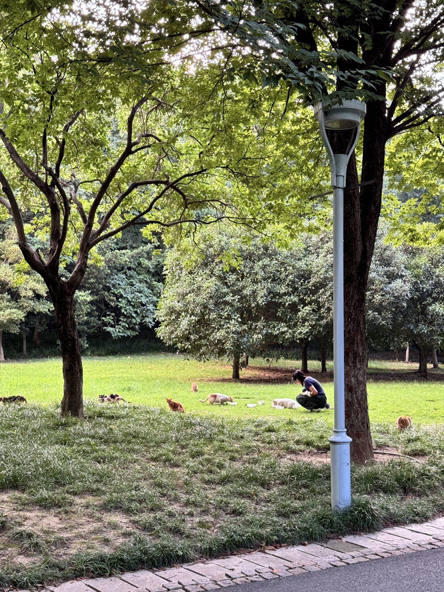 古黄河湿地公园旅行图片 3