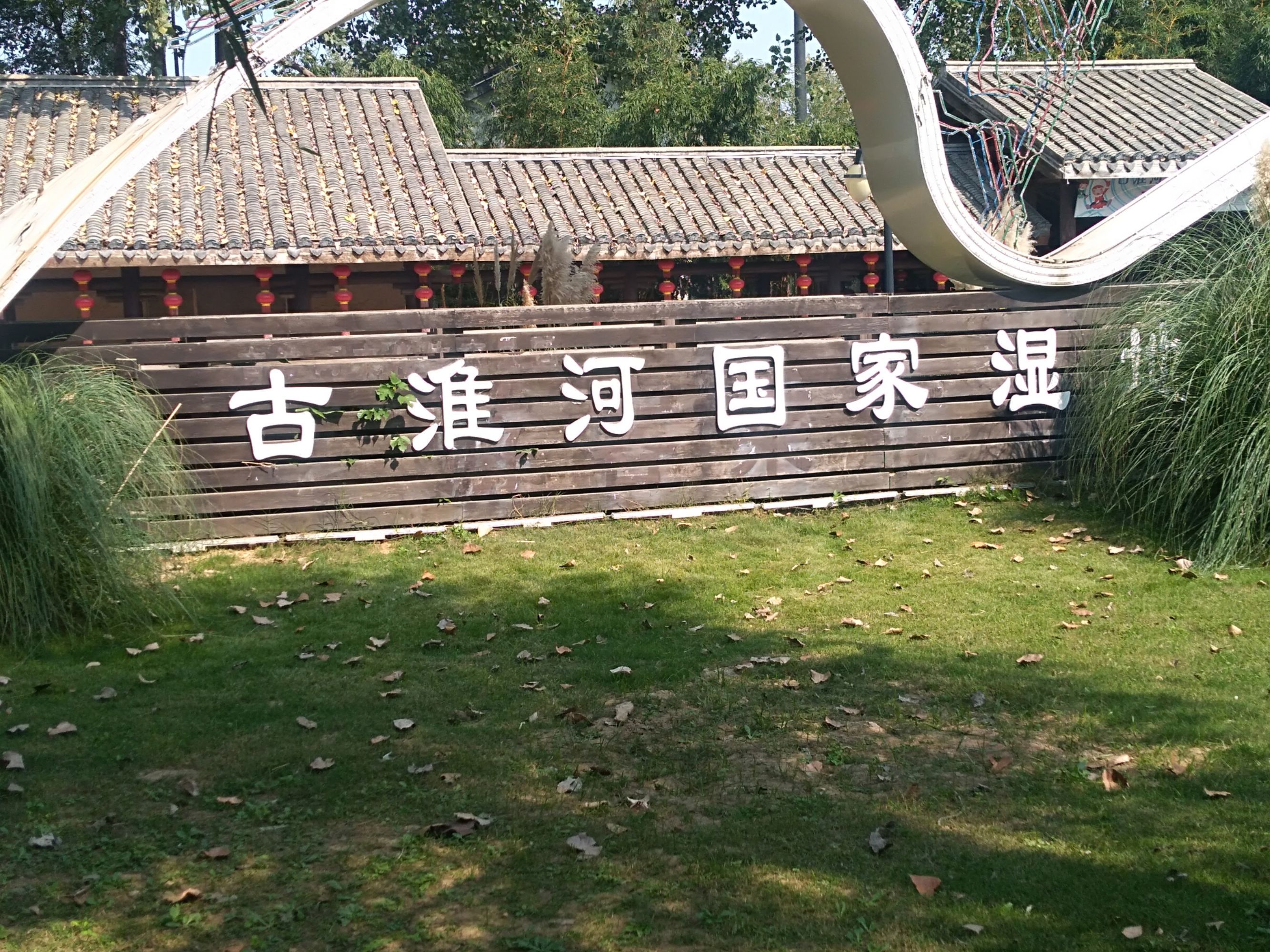 古黄河湿地公园旅行图片 1