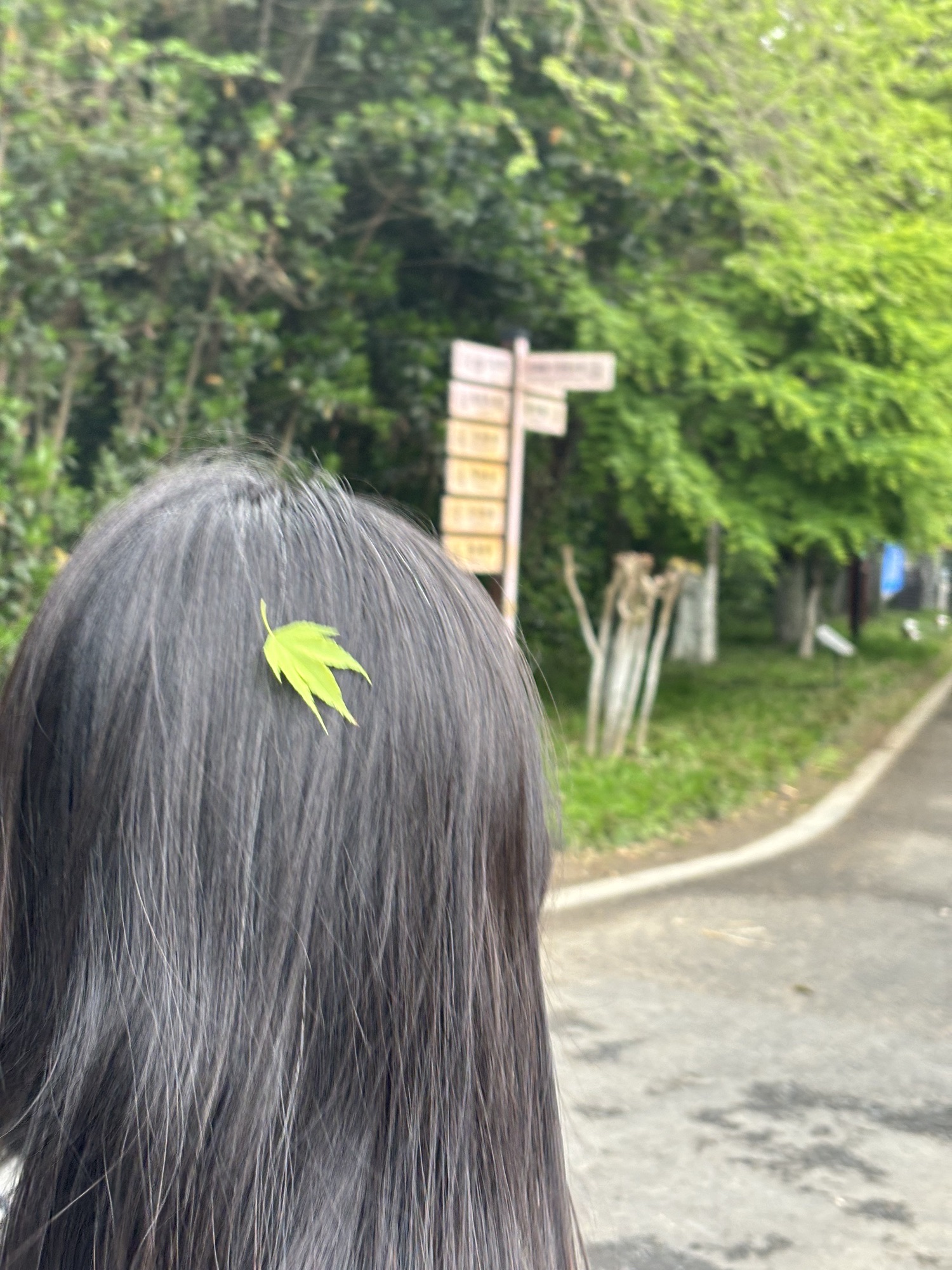 古黄河湿地公园旅行图片 1