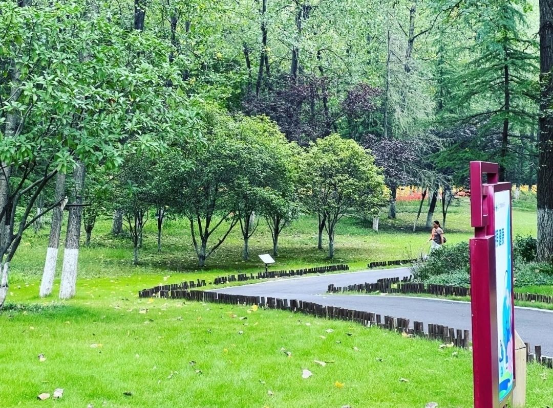 古黄河湿地公园旅行图片 1