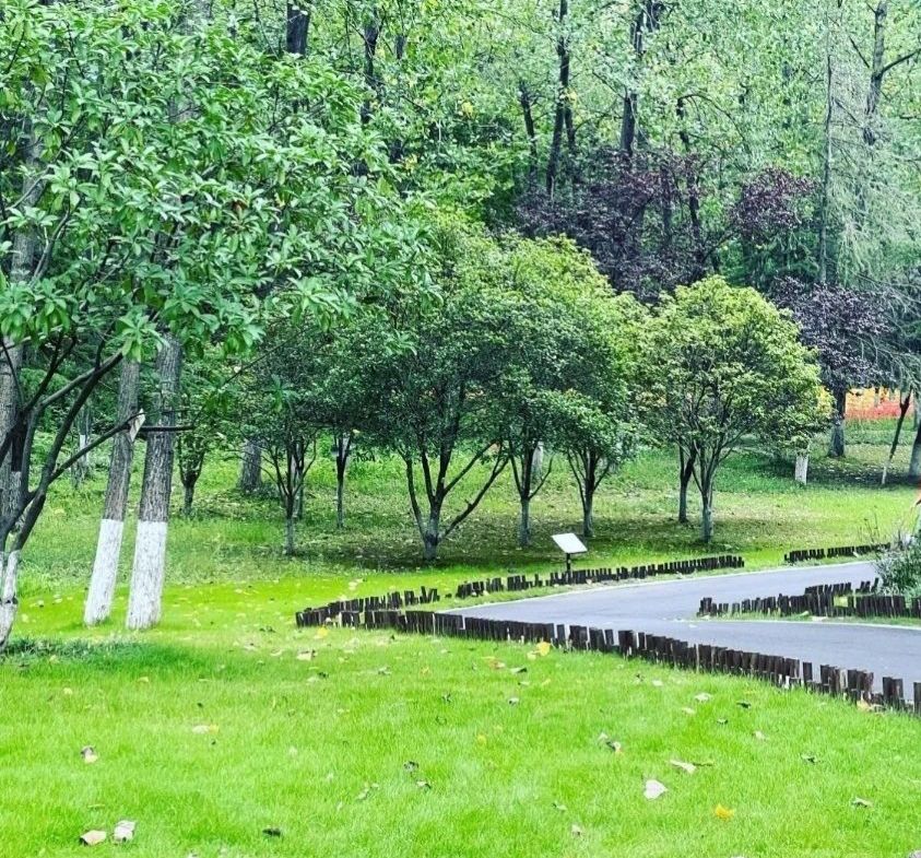 古黄河湿地公园旅行图片 1