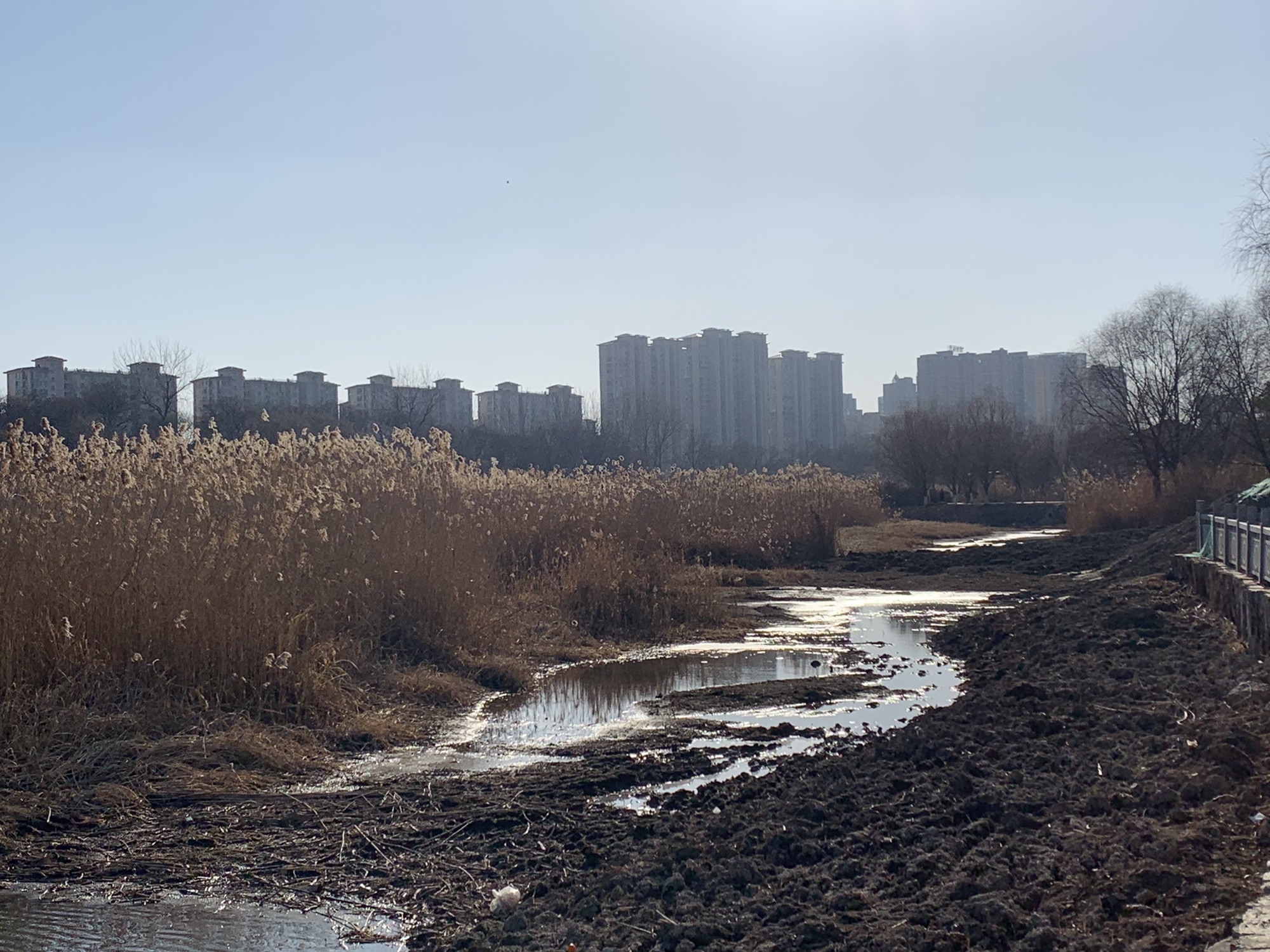 东方母爱公园旅行图片 1
