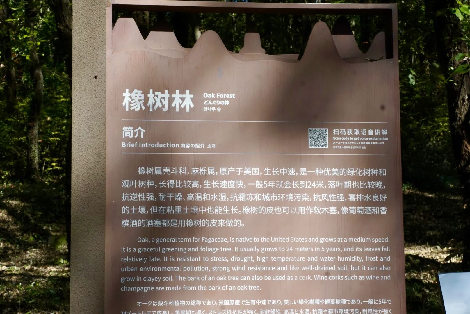 铁山寺国家森林公园旅行图片 3