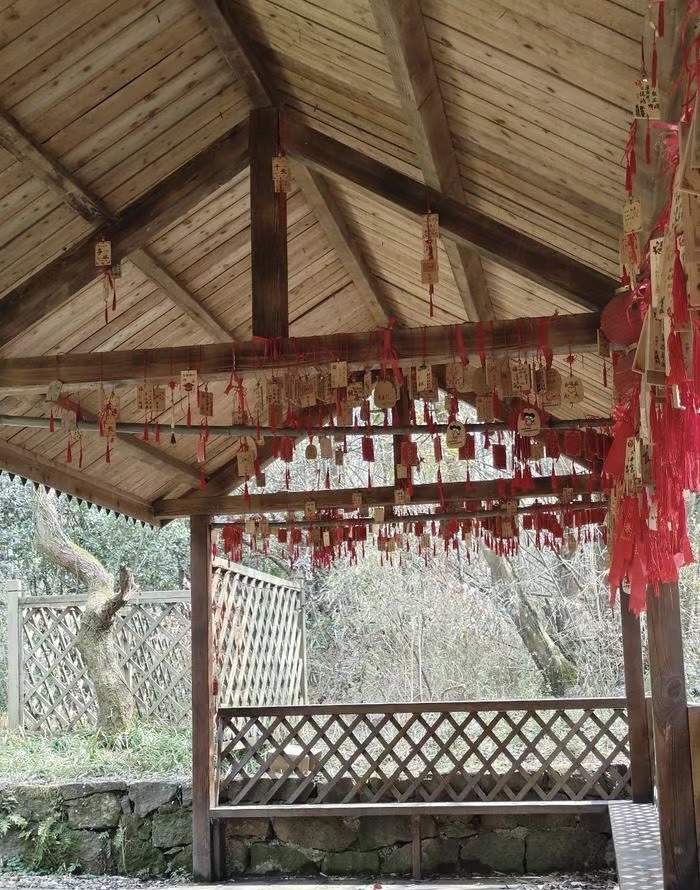 铁山寺国家森林公园旅行图片 1