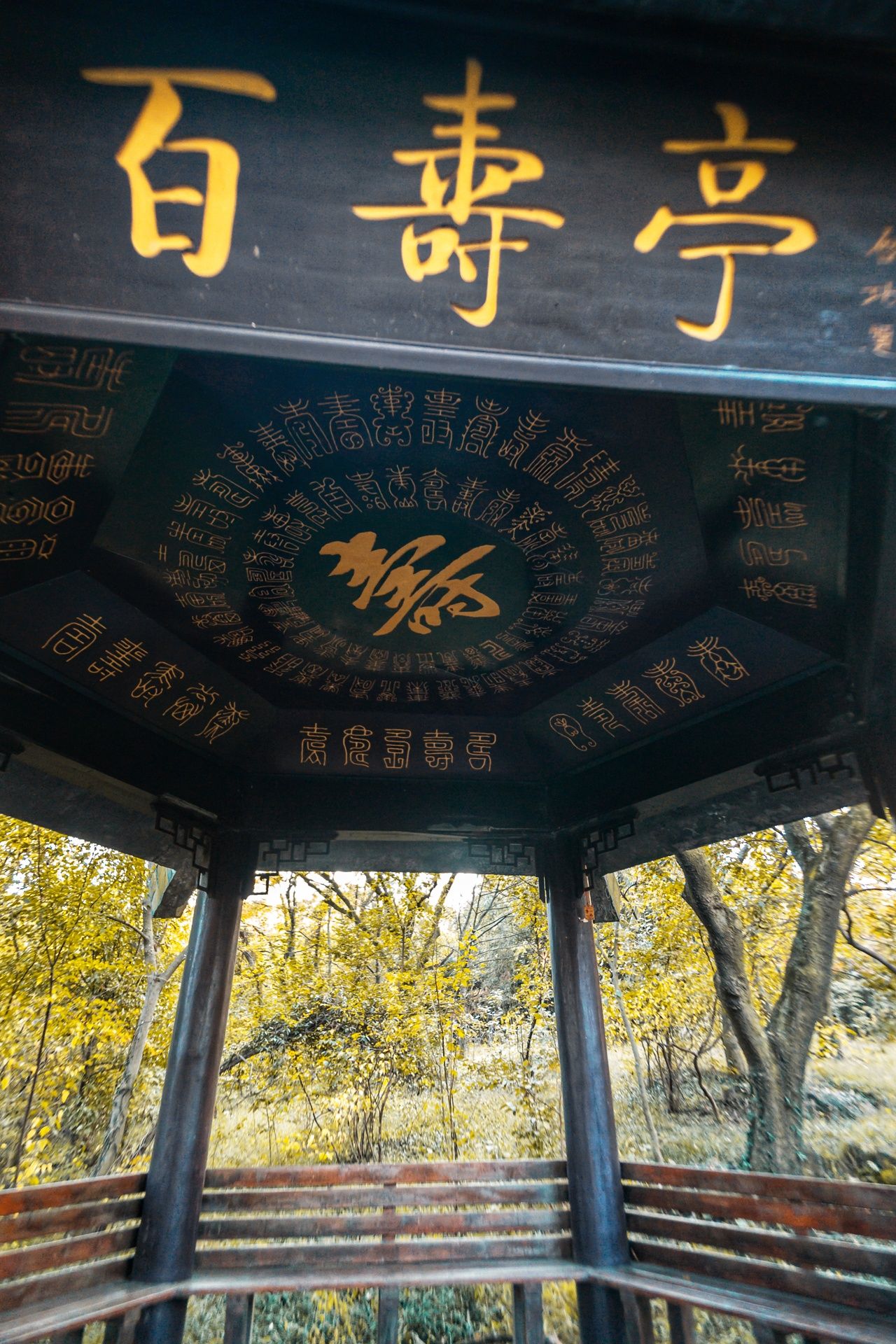 铁山寺国家森林公园旅行图片 2