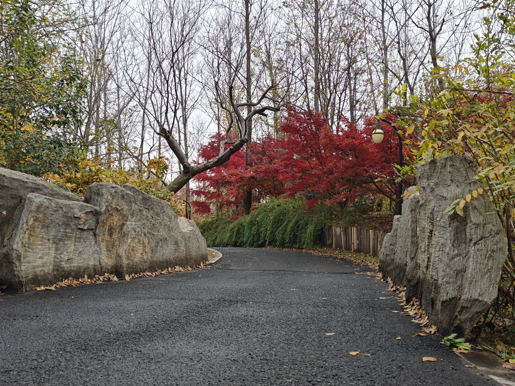 古淮河文化生态景区旅行图片 2