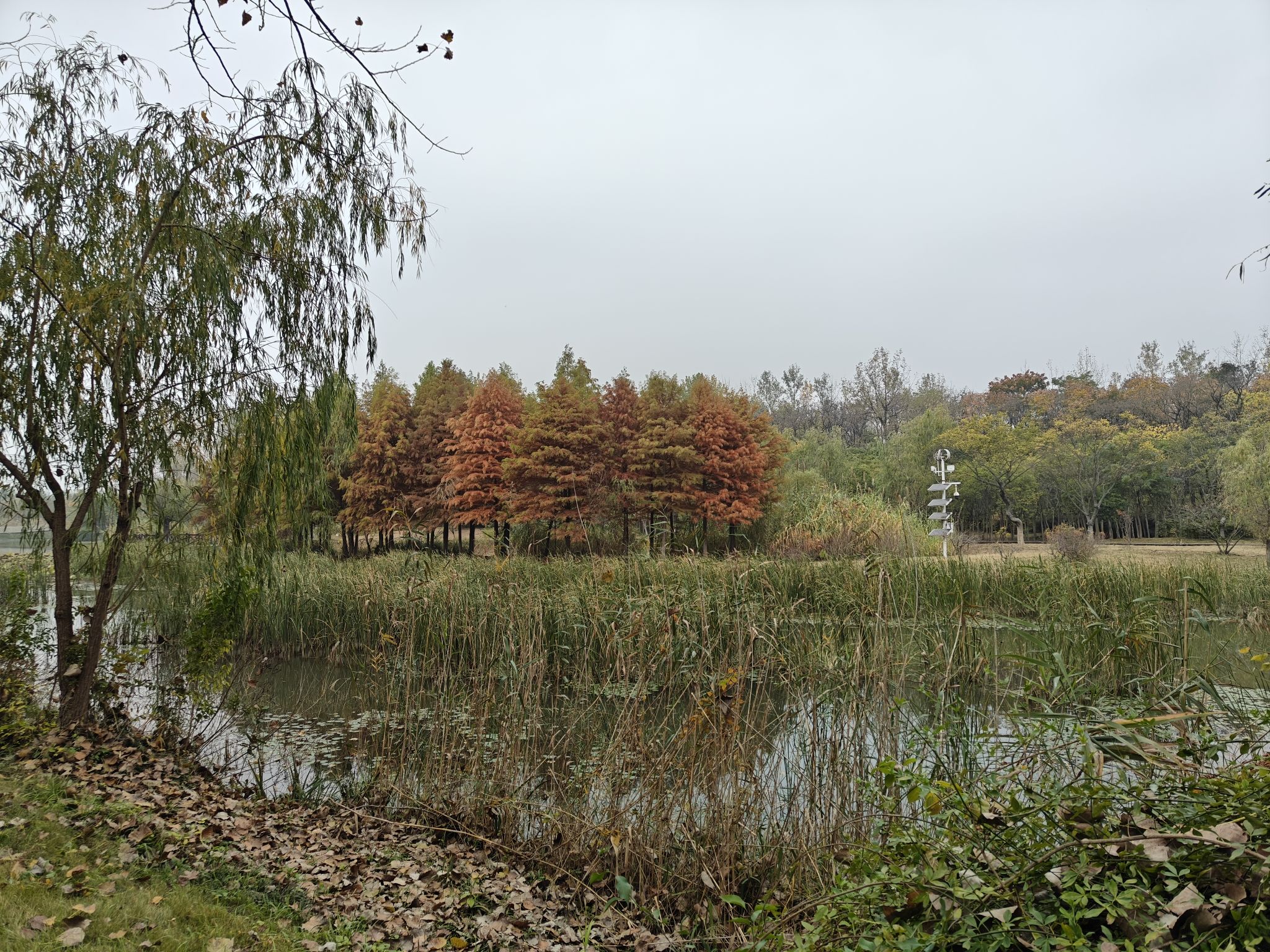 古淮河文化生态景区旅行图片 3