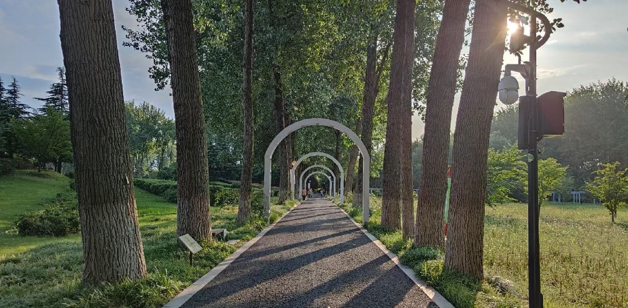 古淮河文化生态景区旅行图片 3