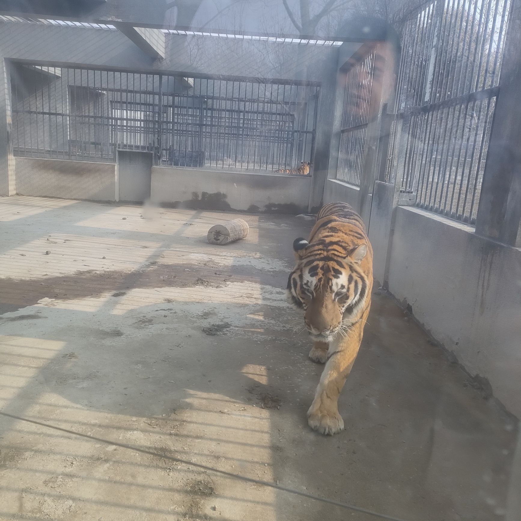 淮安动物园旅行图片 1
