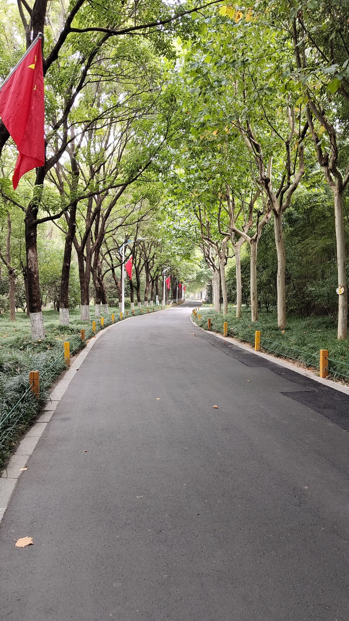 淮安动物园旅行图片 2