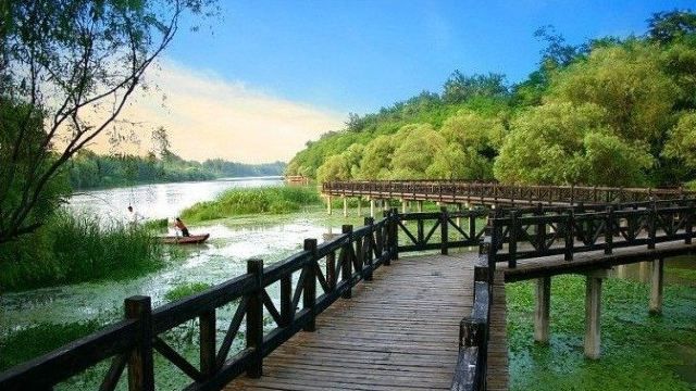柳树湾风景区旅行图片 1
