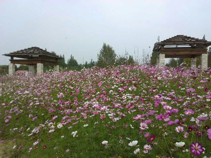 柳树湾风景区旅行图片 3