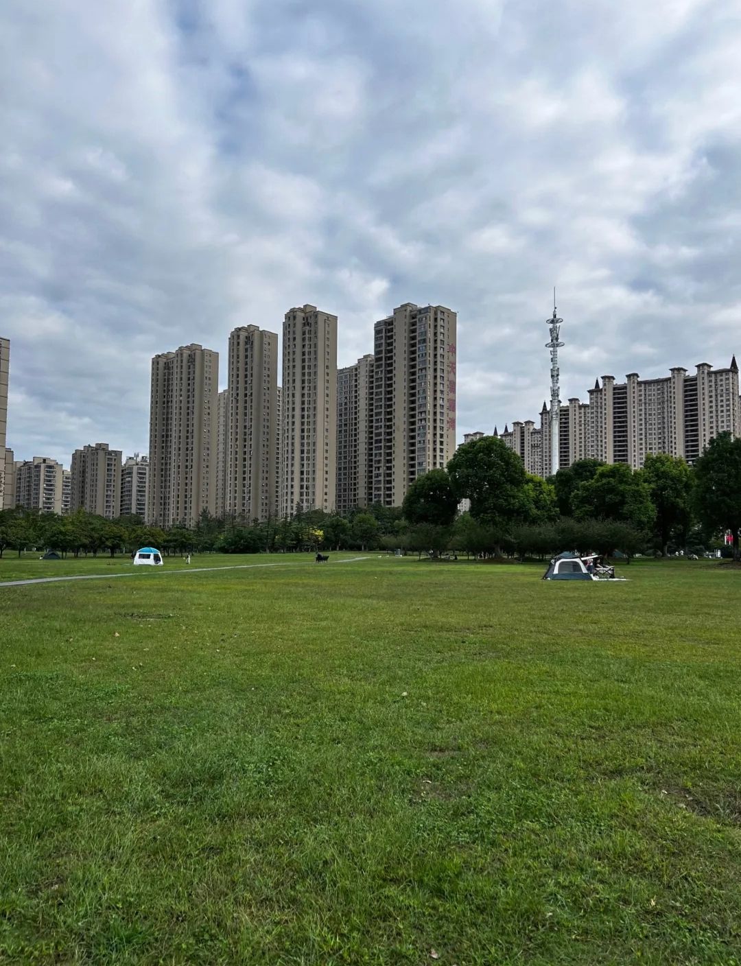 淮安森林公园旅行图片 3