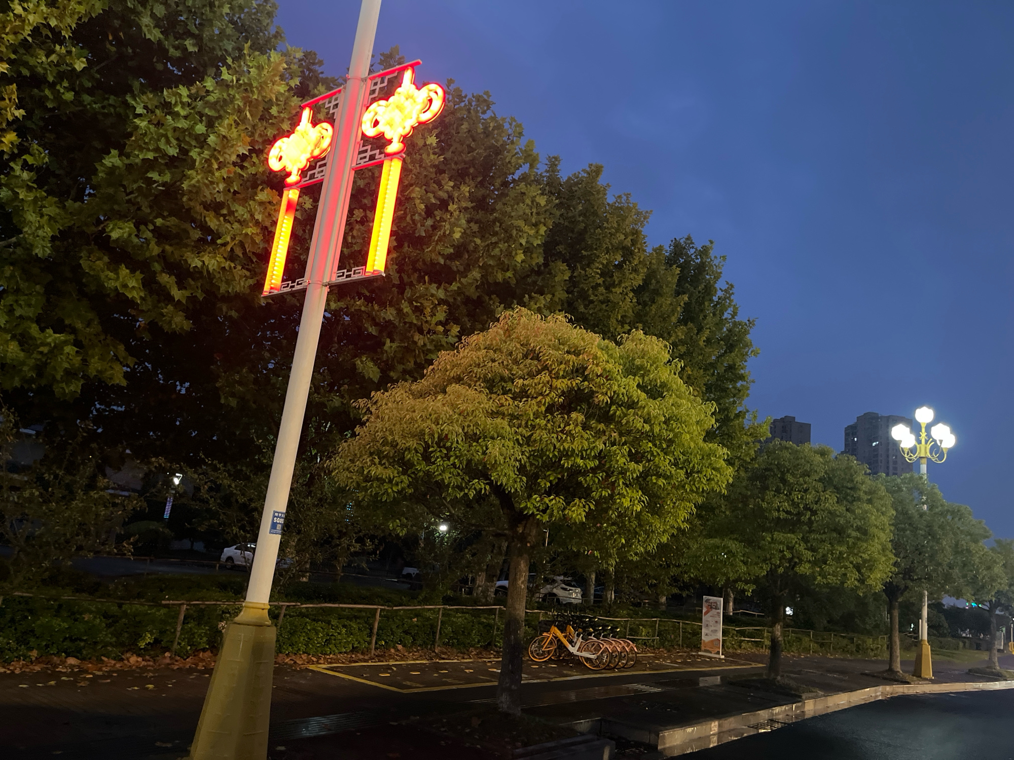 淮安森林公园旅行图片 3