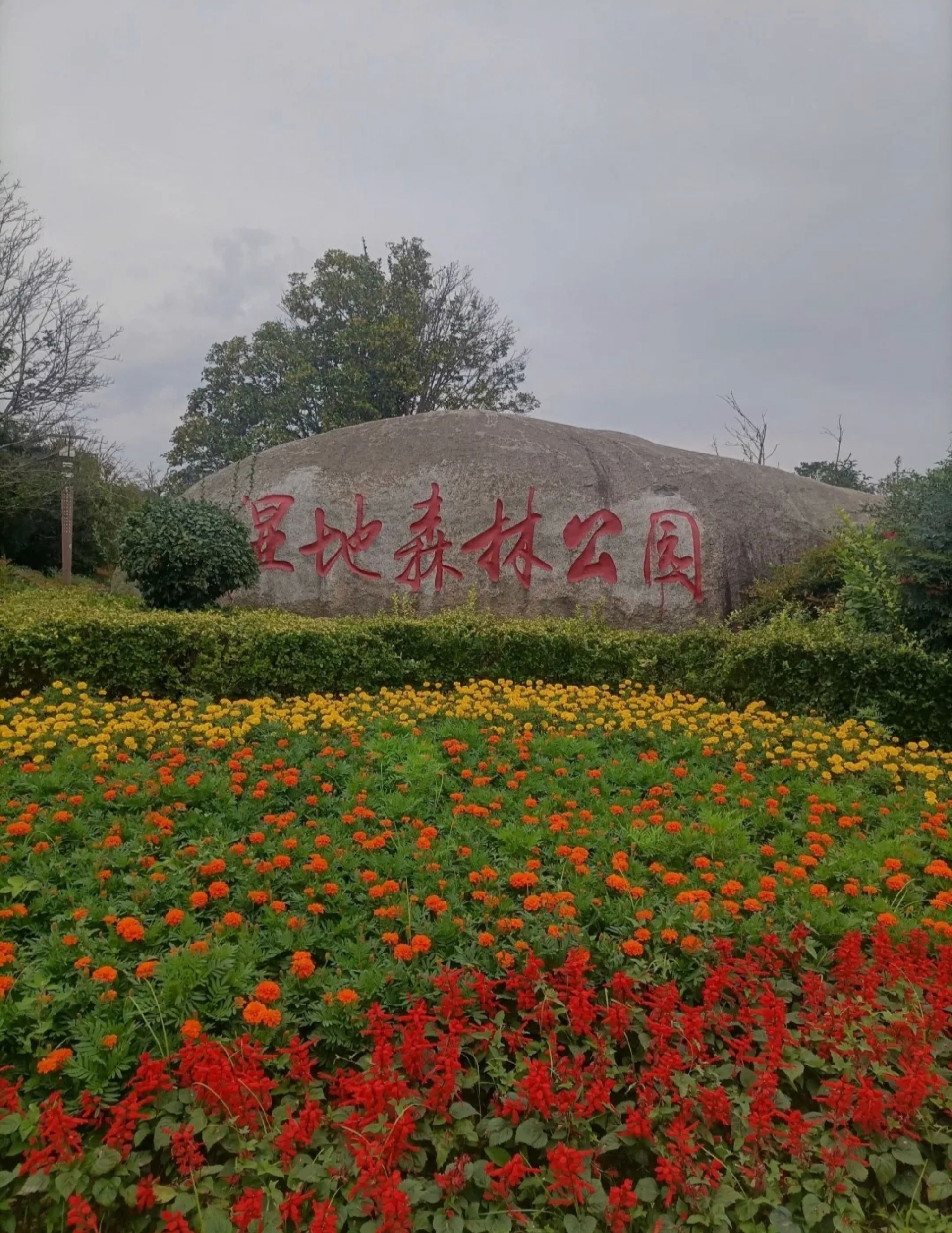 淮安森林公园旅行图片 1
