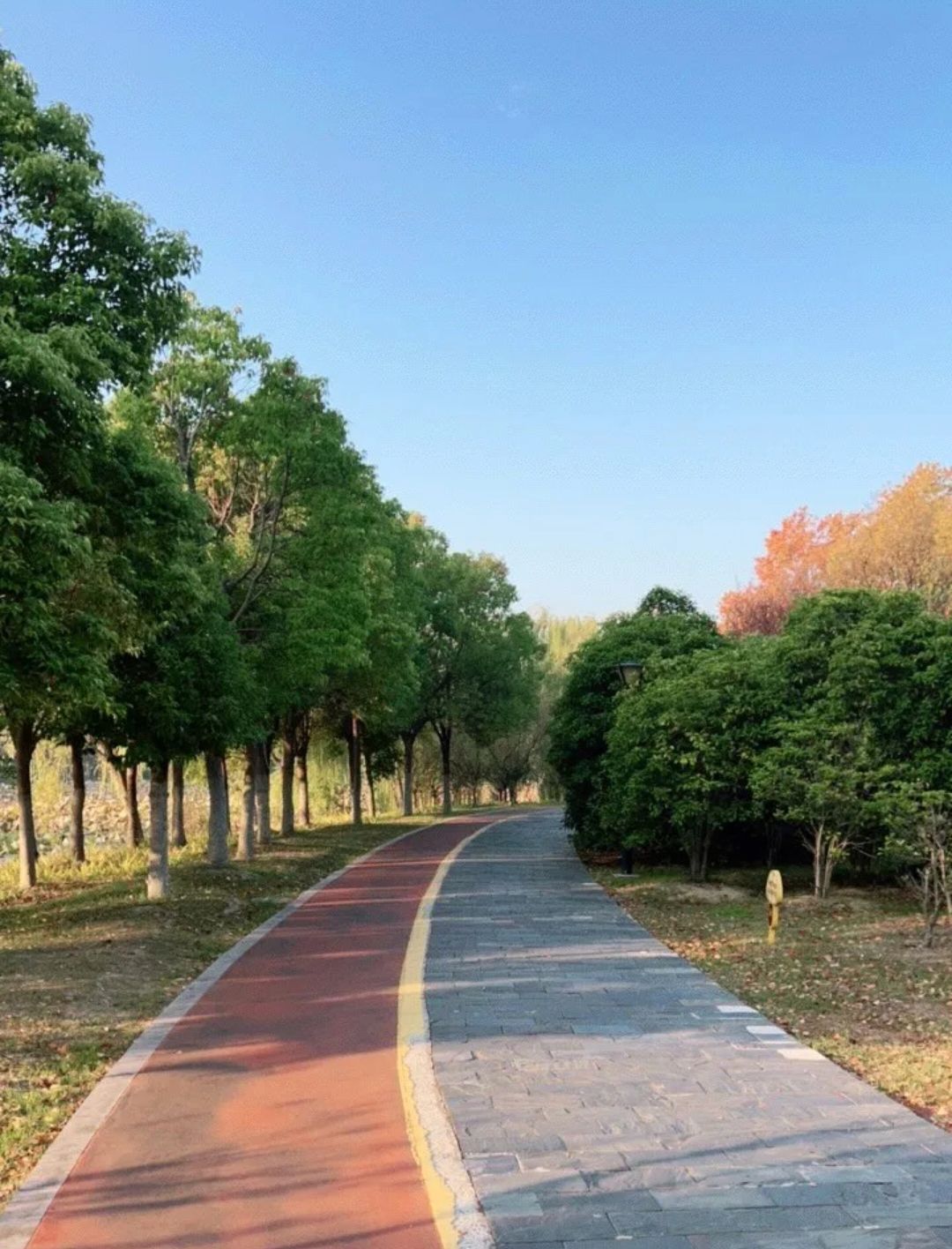 淮安森林公园旅行图片 2