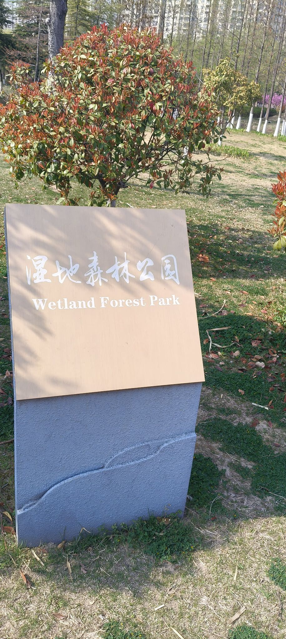 淮安森林公园