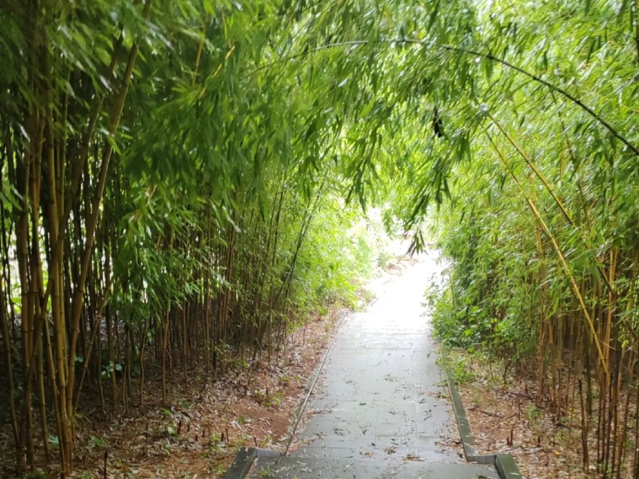 高公岛风景游览区旅行图片 2