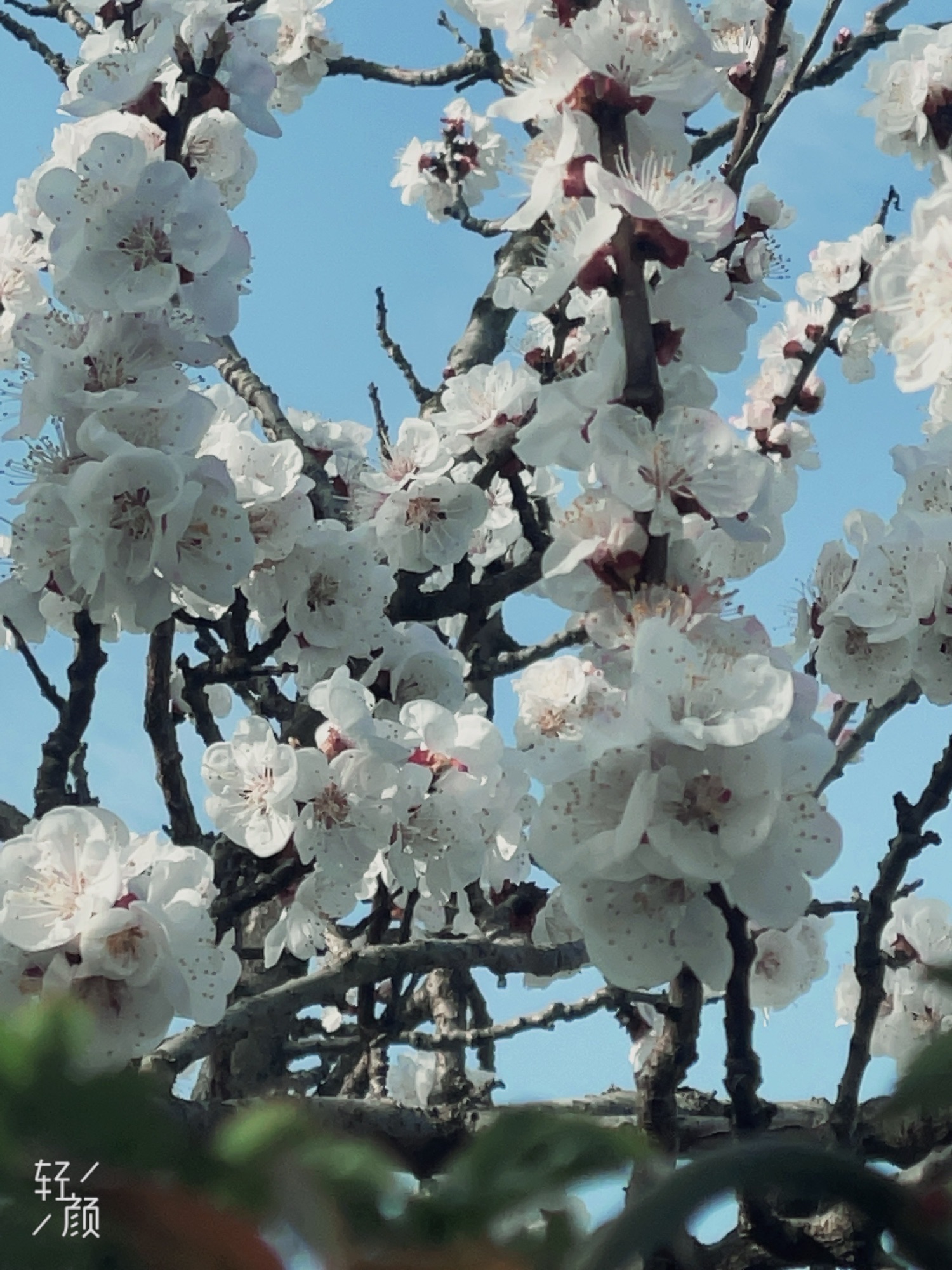 石棚山风景区旅行图片 3