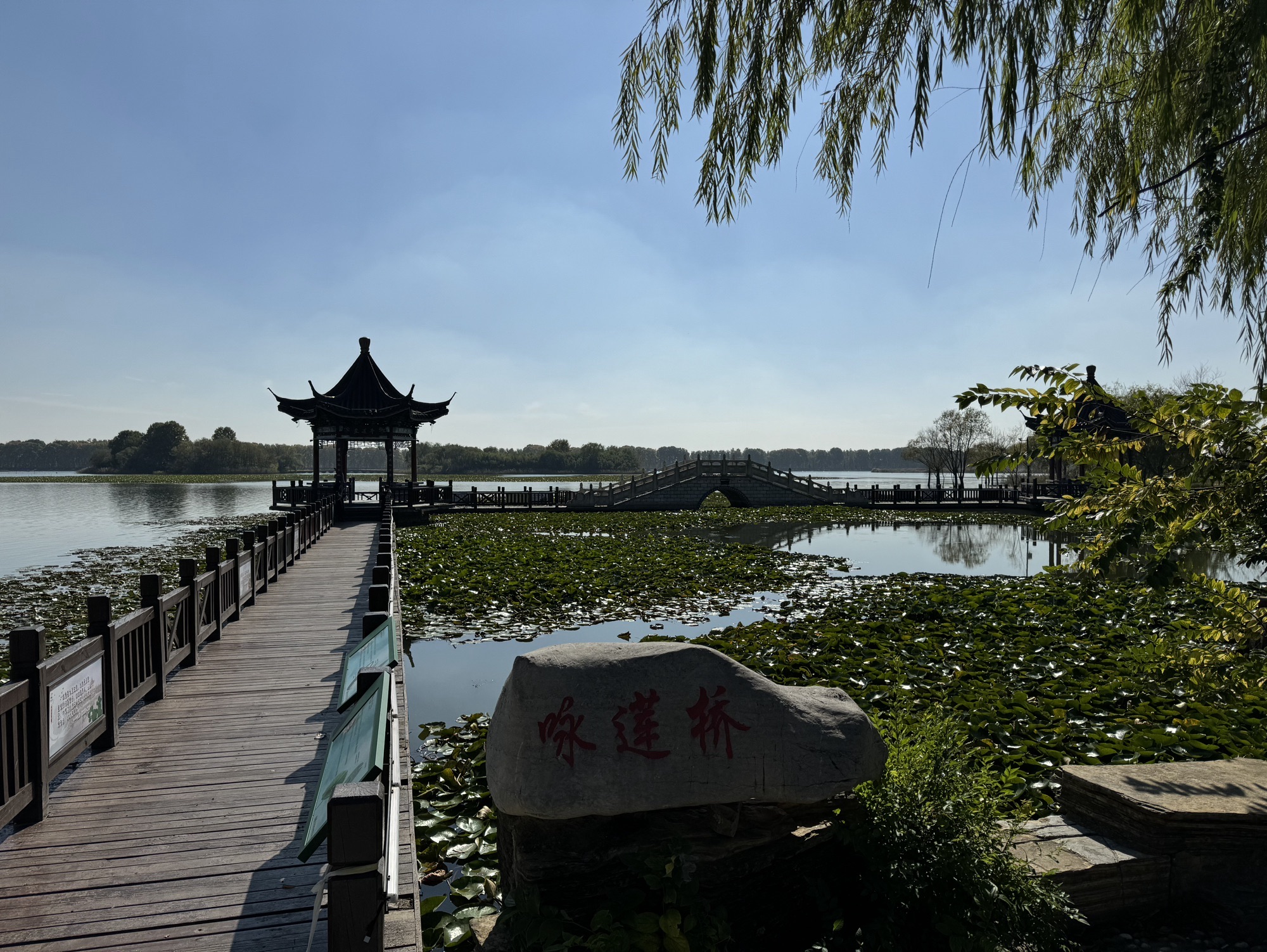 东海县西双湖国家湿地公园旅行图片 1