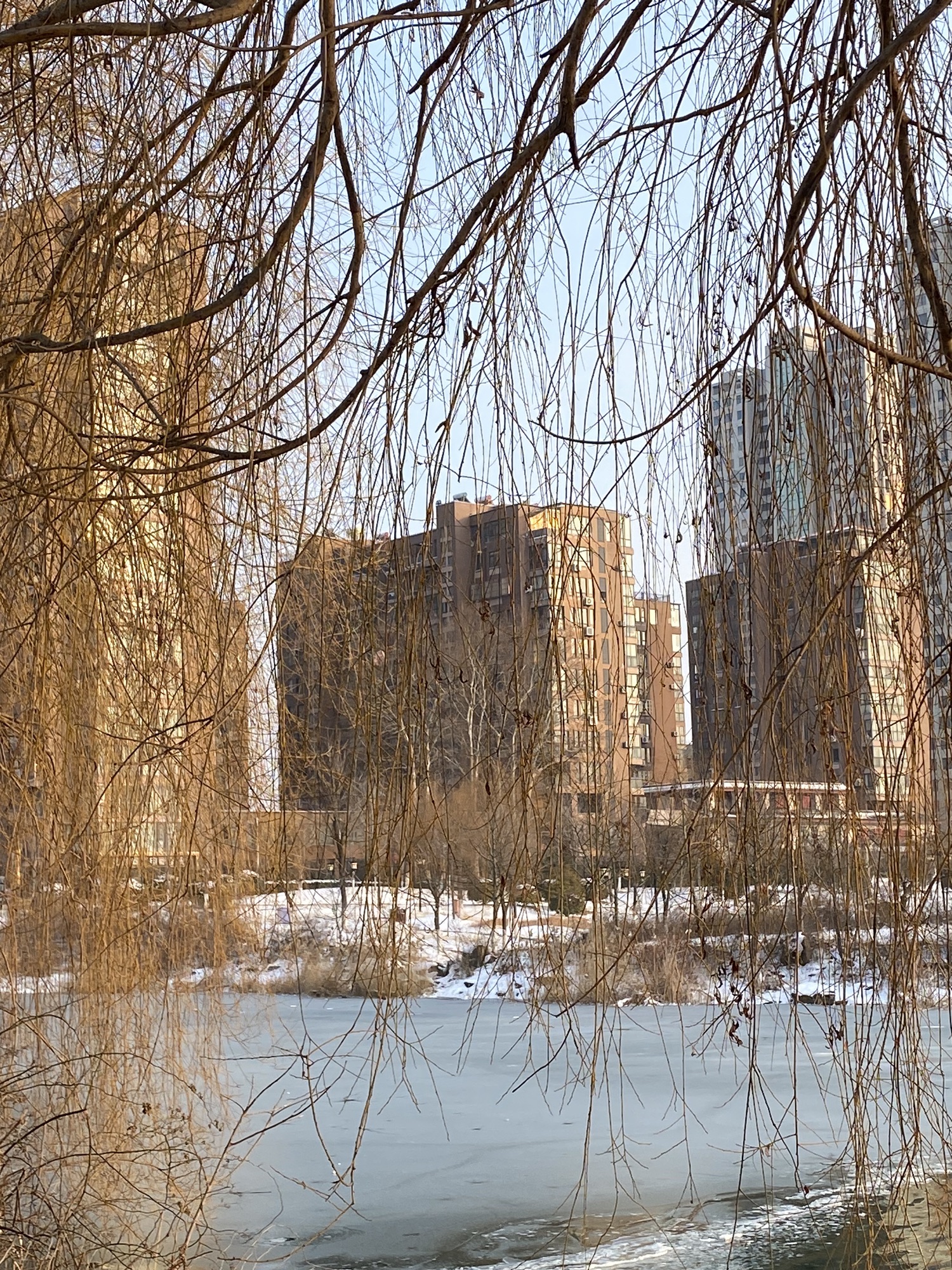 东海县西双湖国家湿地公园旅行图片 2