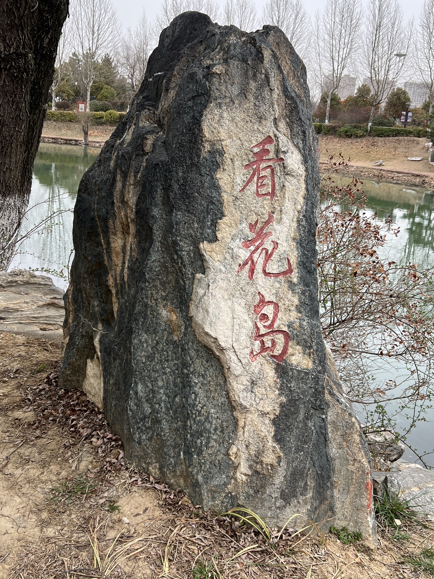 东海县西双湖国家湿地公园旅行图片 2