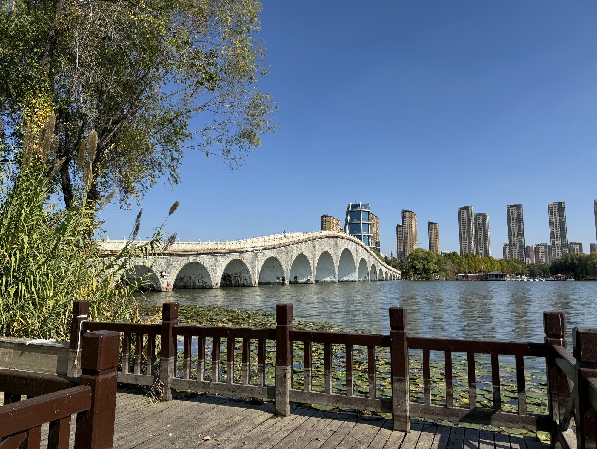 东海县西双湖国家湿地公园旅行图片 2