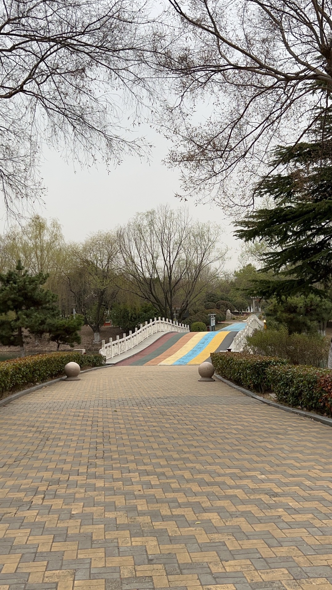 东海县西双湖国家湿地公园旅行图片 1