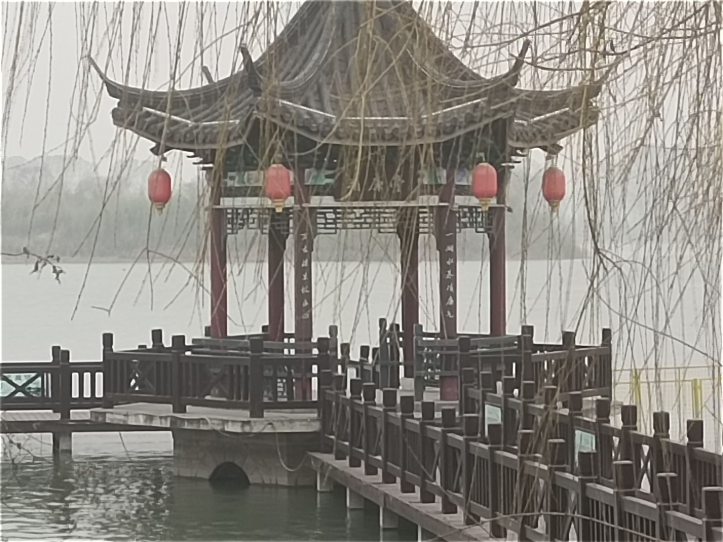 东海县西双湖国家湿地公园旅行图片 2