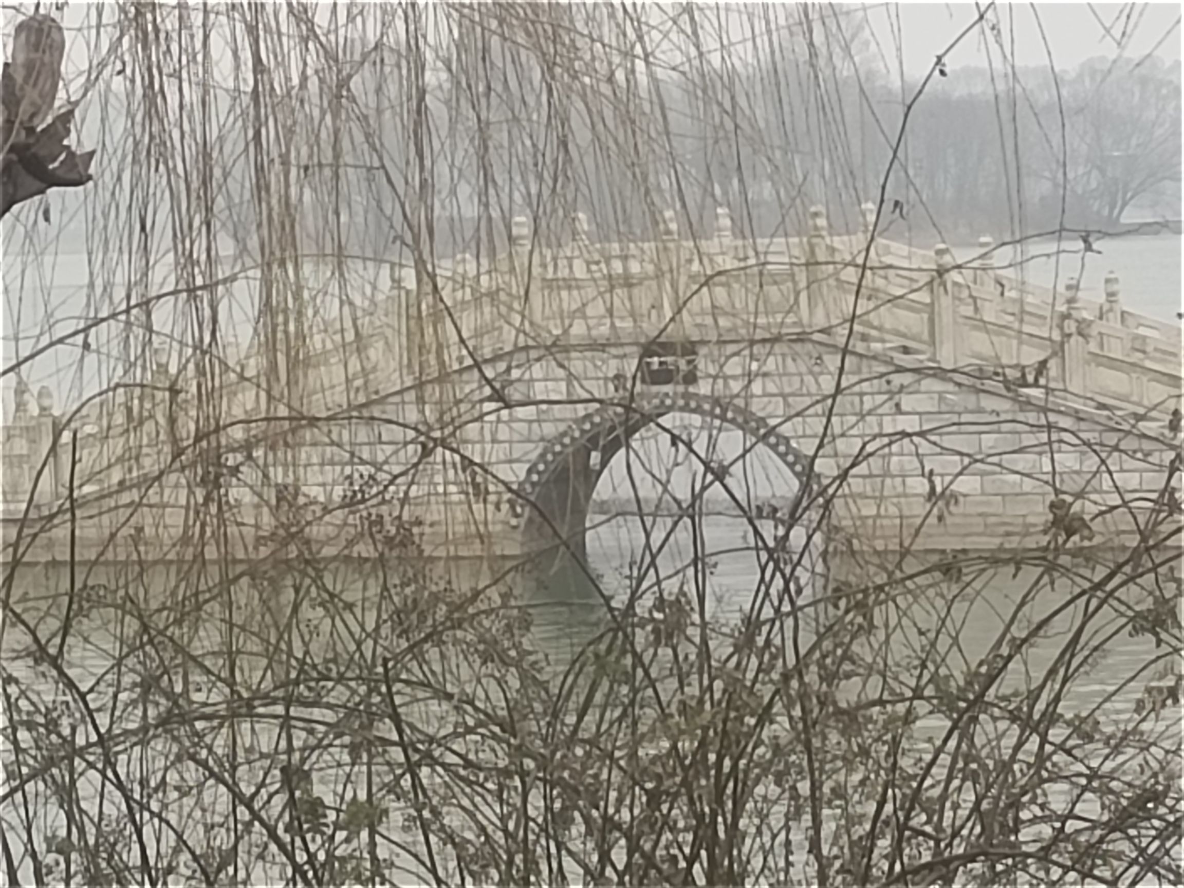 东海县西双湖国家湿地公园旅行图片 1