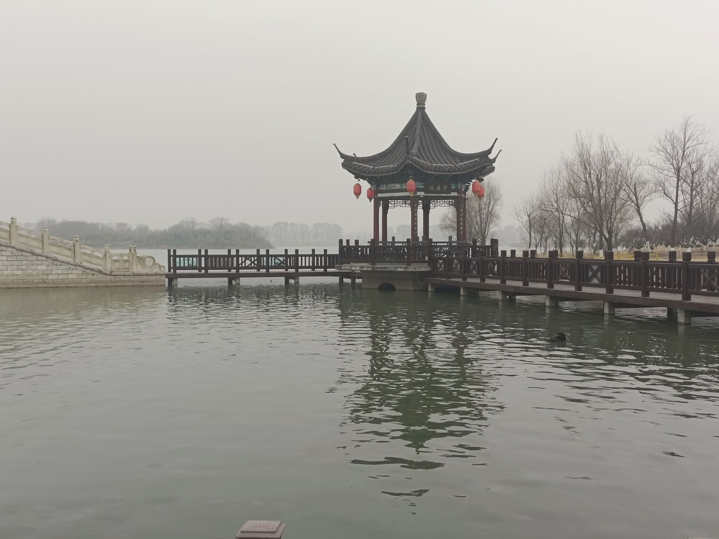 东海县西双湖国家湿地公园旅行图片 3