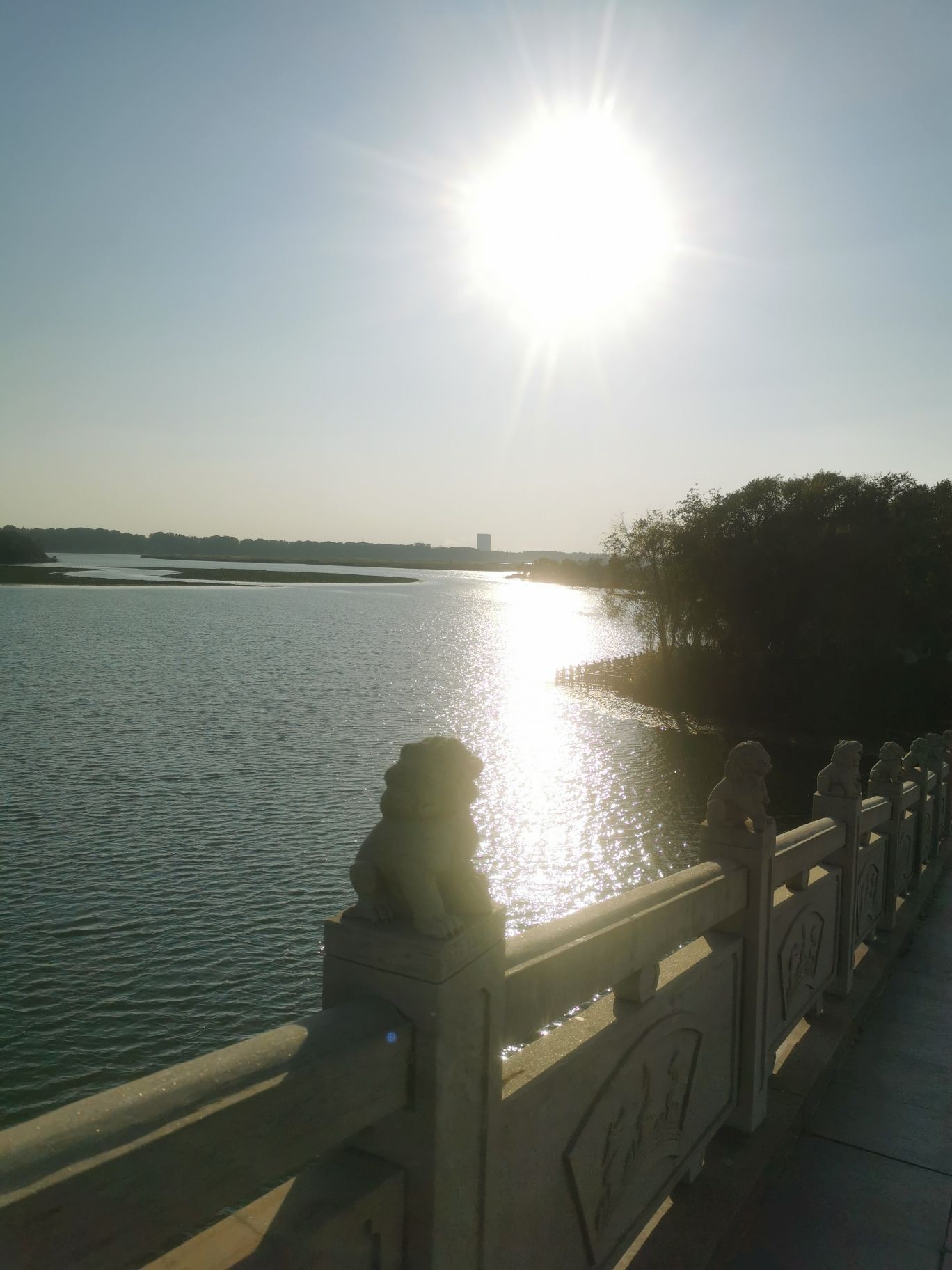 东海县西双湖国家湿地公园旅行图片 3