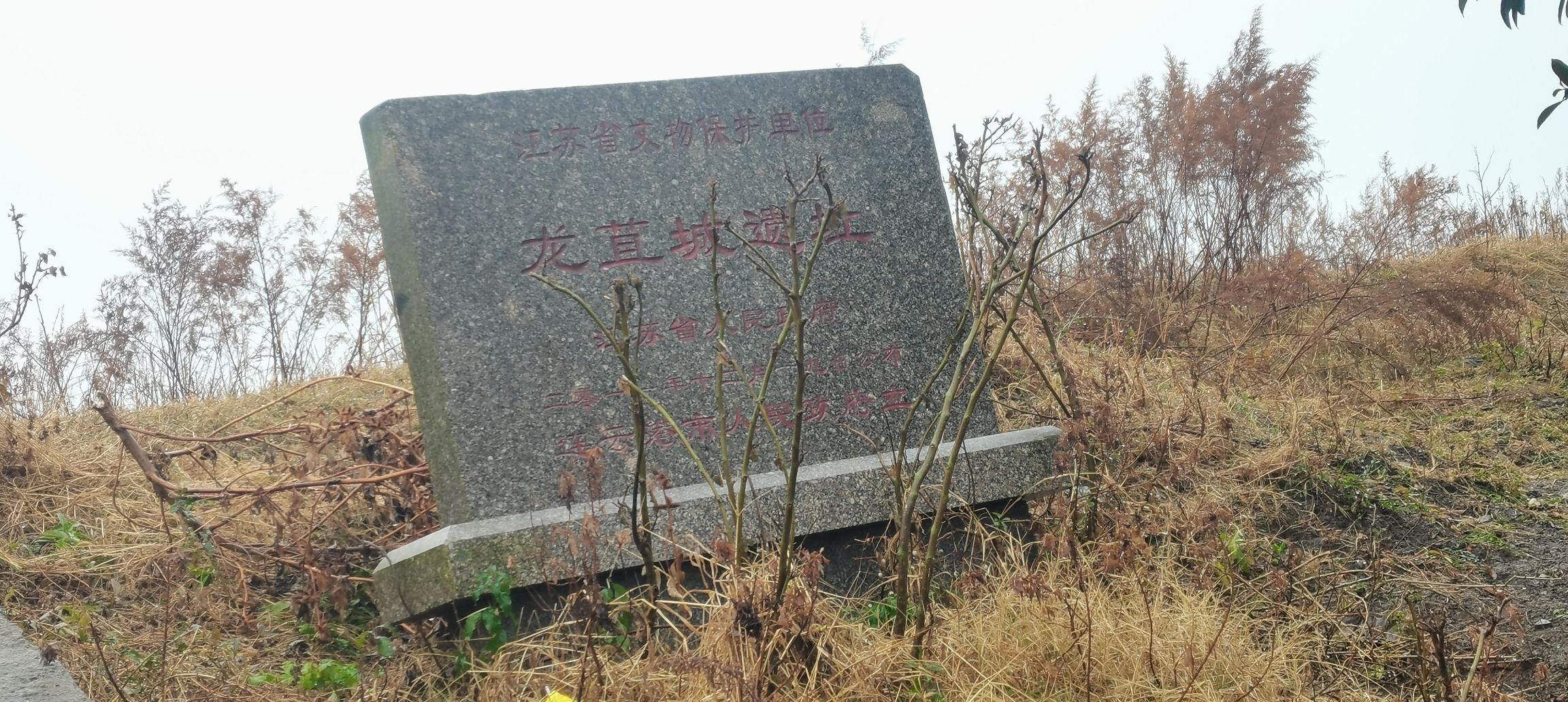 龙苴古城遗址旅行图片 1